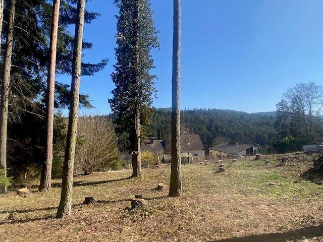 Ruhig, grün und sonnig! Schöner Baugrund Nähe Bad Erlach - Ansicht 5