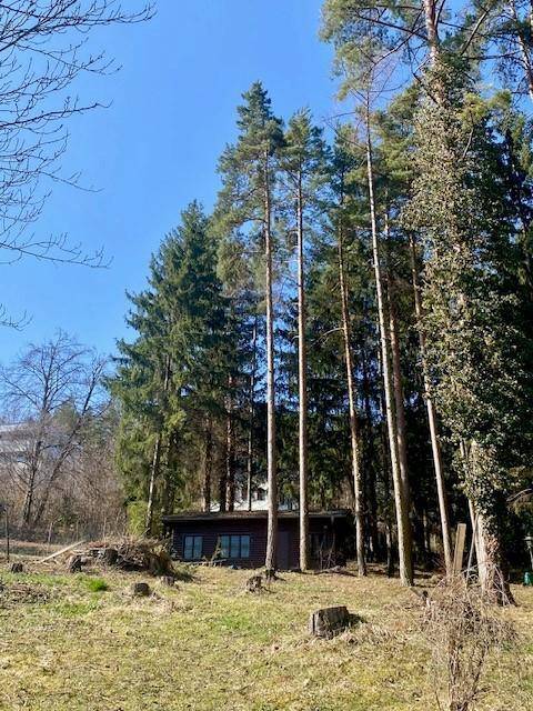 Ruhig, grün und sonnig! Schöner Baugrund Nähe Bad Erlach - Ansicht 4
