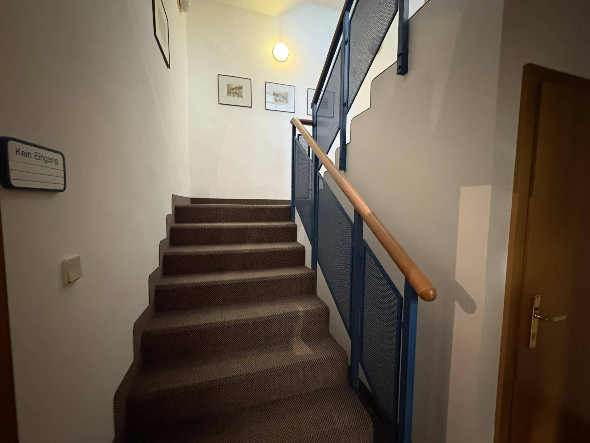 Treppenhaus mit Teppichstufen, blauem Geländer und Holzhandlauf, führt in ein Obergeschoss.