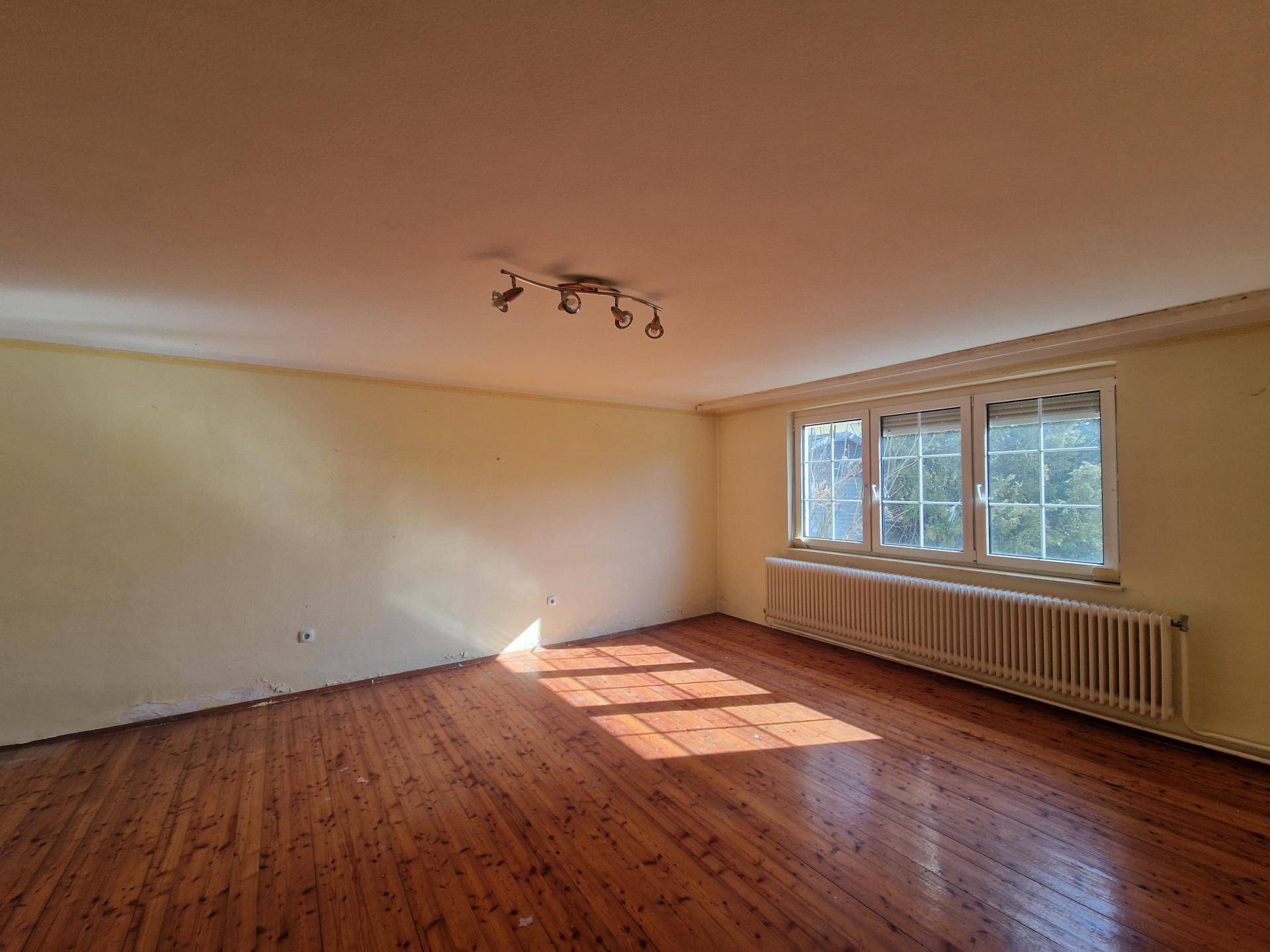 BAUTRÄGERLIEGENSCHAFT ODER SANIERUNGSBEDÜRTIGES LANDHAUS MIT BAULANDRESERVE IN SEHR GUTER WOHNLAGE MIT HERRLICHEM GARTEN - Ansicht 6