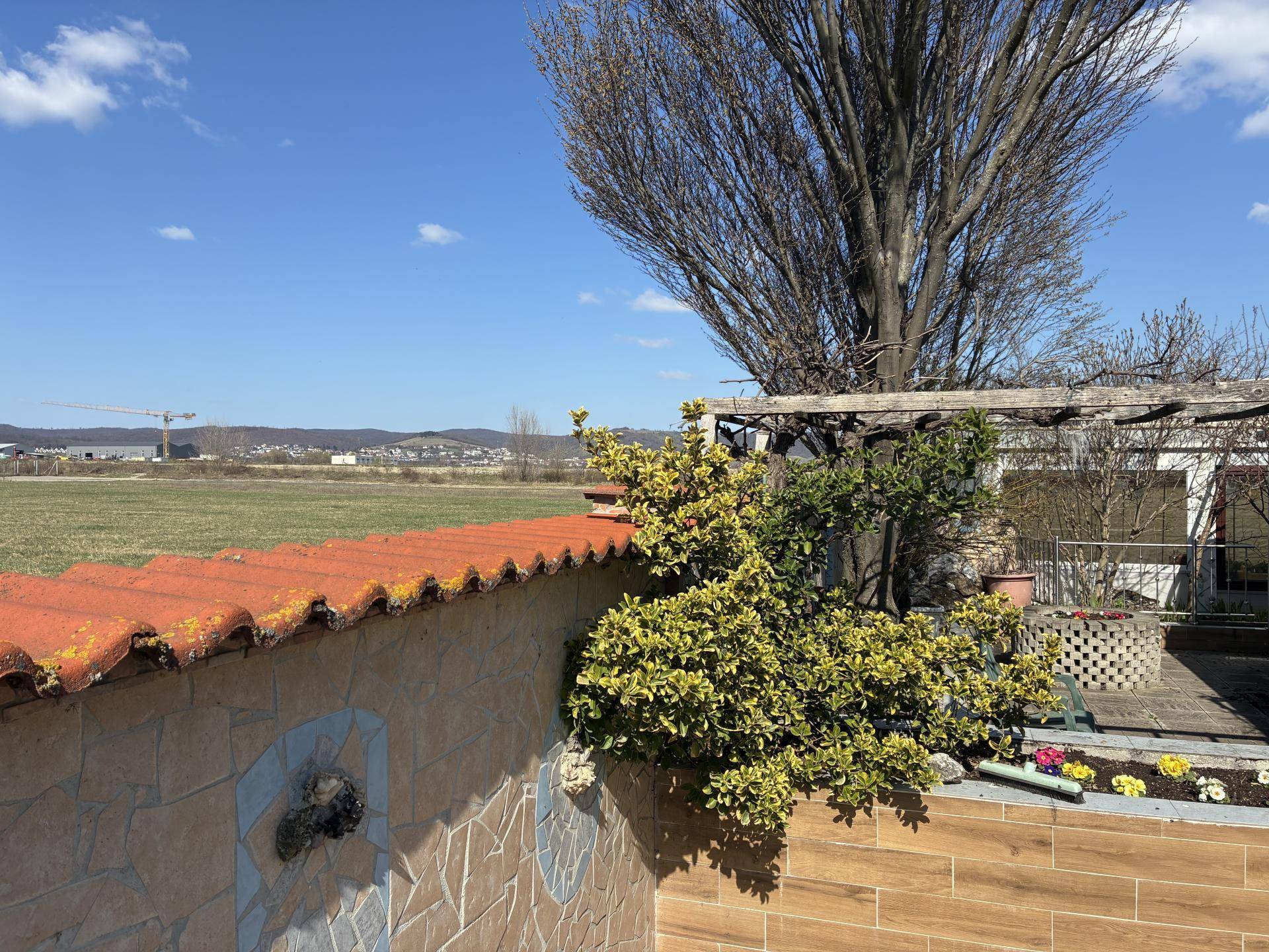 Außenbereich mit niedriger Mauer, Pflanzen, einem großen kahlen Baum und weitem Blick auf Felder und entfernte Hügel.