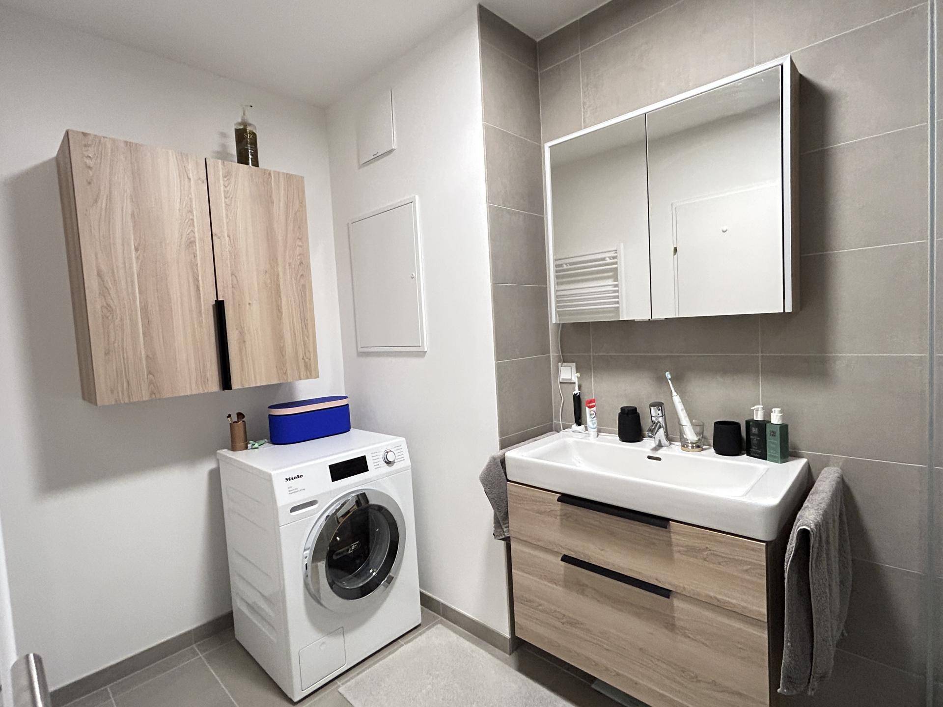 Modernes Badezimmer mit Waschmaschine, Einzelwaschbecken und Spiegelschrank.