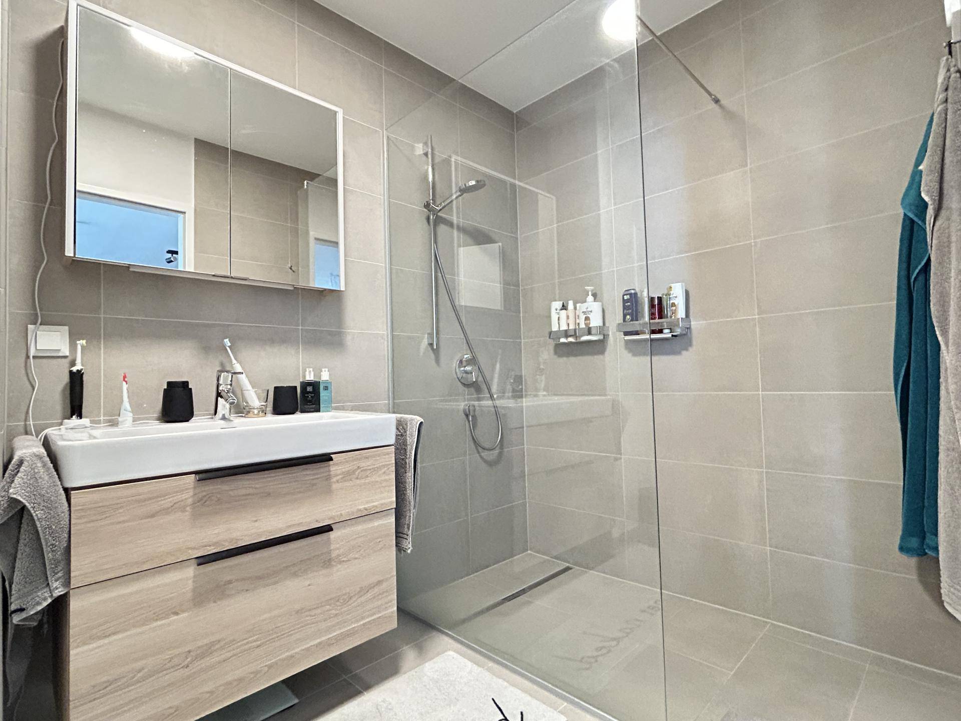 Modernes Badezimmer mit ebenerdiger Dusche, Einzelwaschbecken und Spiegelschrank.