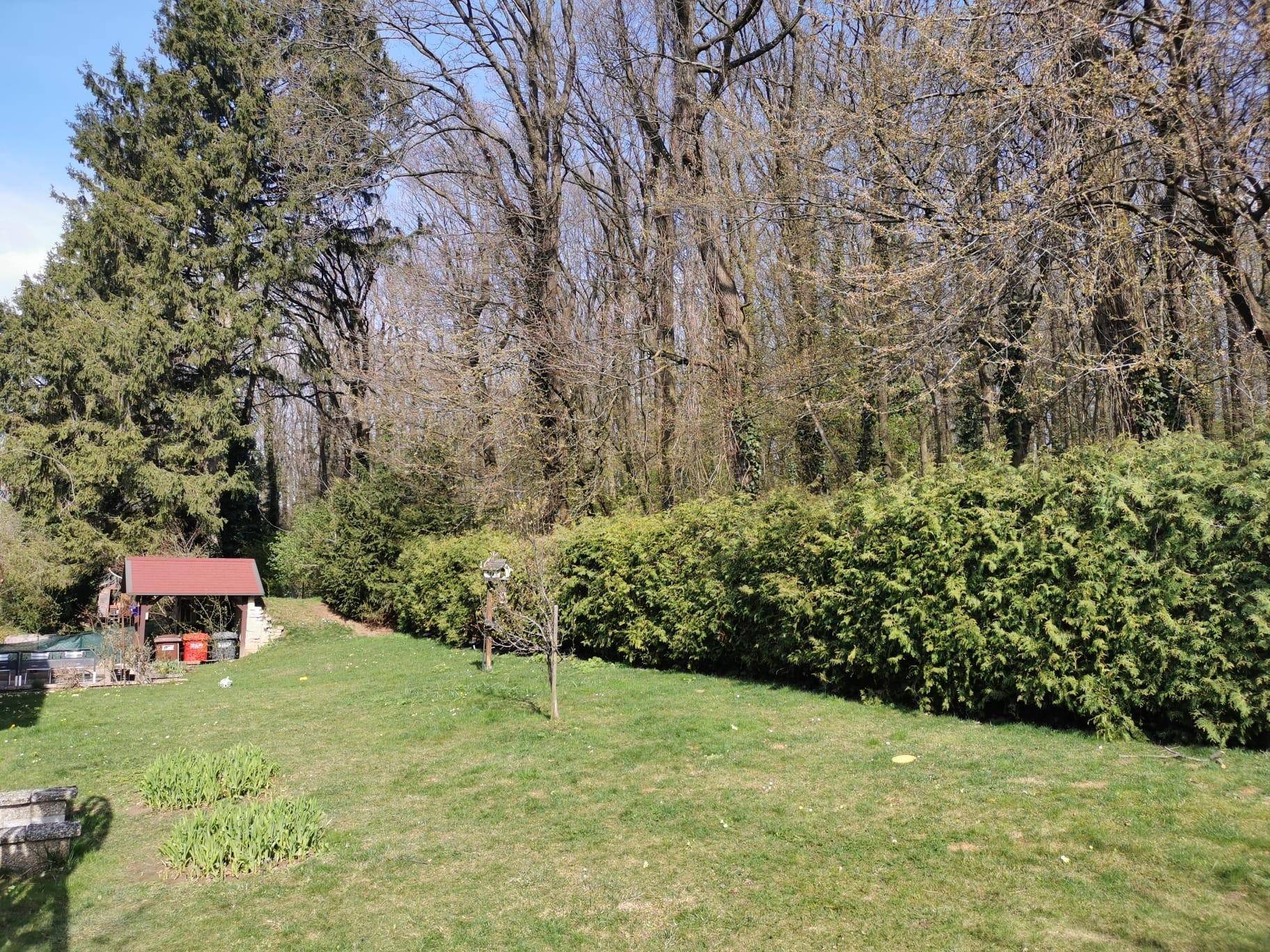 Weitläufiger Gartenbereich mit großer Rasenfläche, hohen Bäumen und einer dichten Hecke.