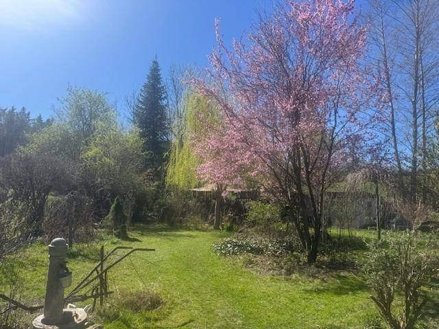 Weitläufiger Garten mit Rasenfläche, blühenden Bäumen und einem alten Wasserhahn.