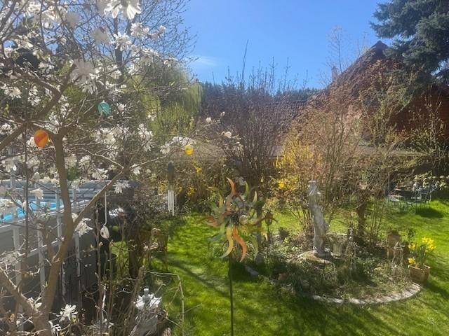 Sonniger Garten mit blühenden Bäumen, einem Pool und dekorativen Elementen.