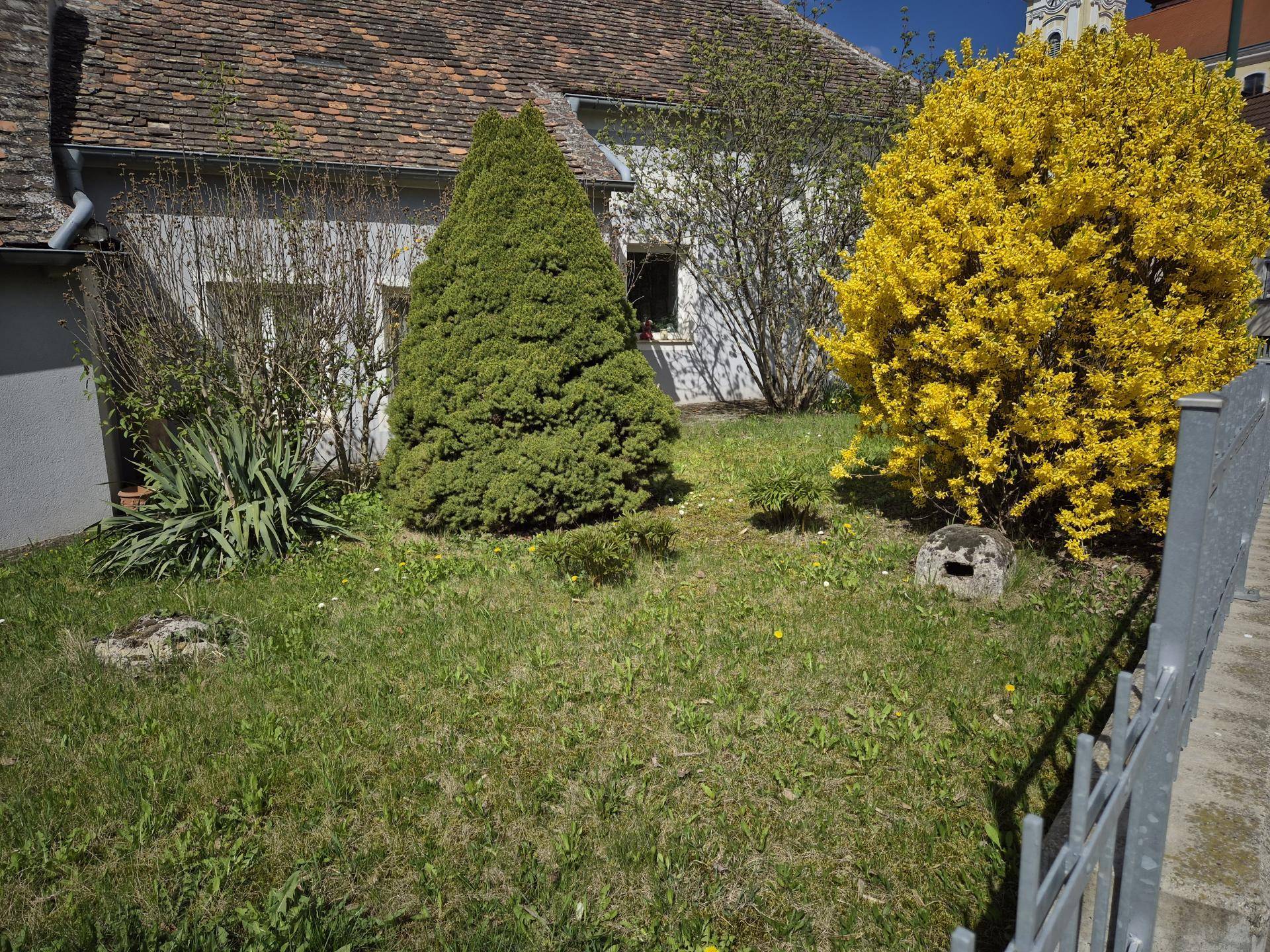 Gepflegter Gartenbereich mit grüner Wiese, Sträuchern und Blick auf die Kirchtürme.