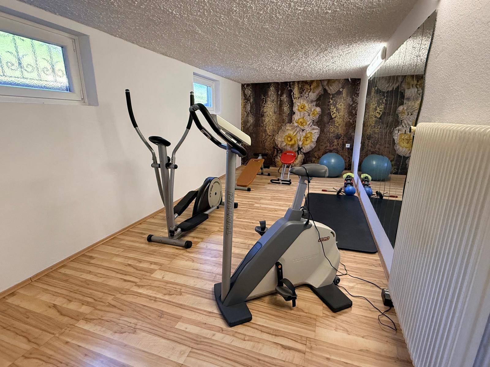 Fitnessraum im Untergeschoss mit verschiedenen Trainingsgeräten und Spiegelfläche.