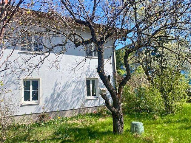 Weißes Wohnhaus mit gepflegtem Garten und altem Baum im Vordergrund an einem sonnigen Tag.