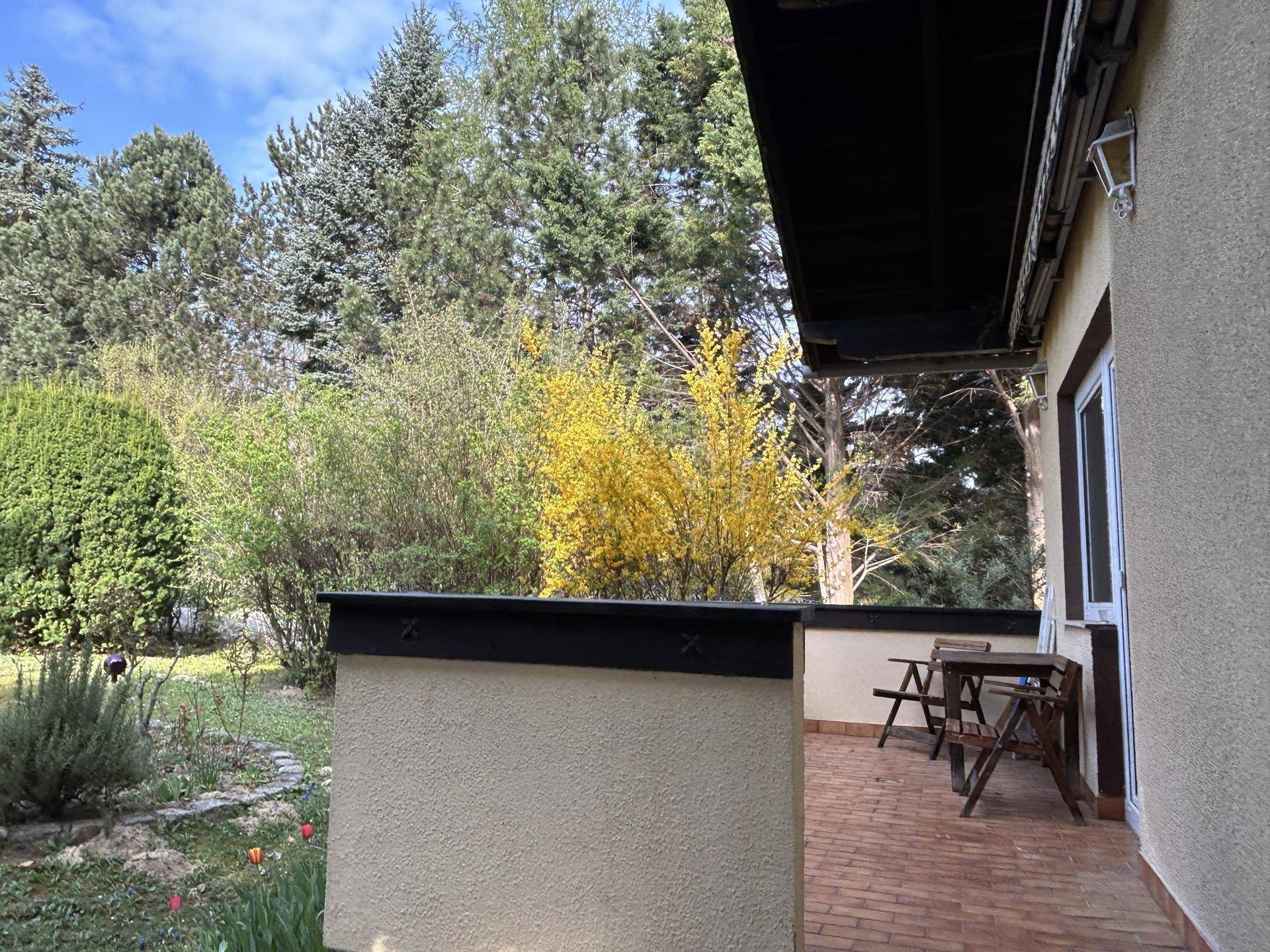 Terrasse mit Holztisch und Stühlen, umgeben von üppigem Grün und Bäumen.