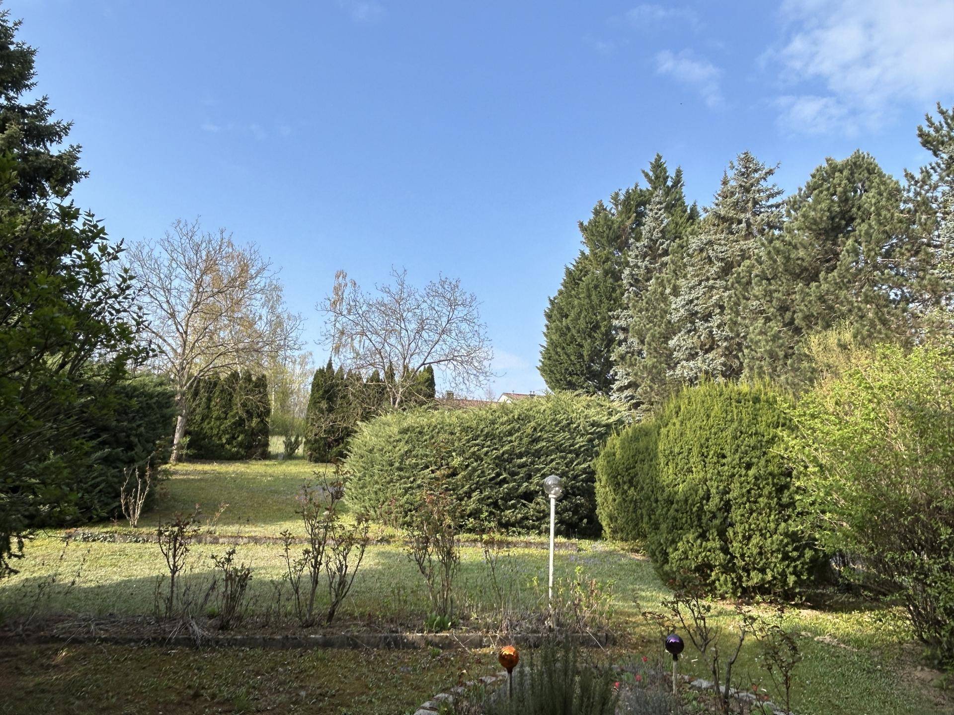 Weitläufiger Garten mit gepflegtem Rasen, verschiedenen Büschen und hohen Bäumen.