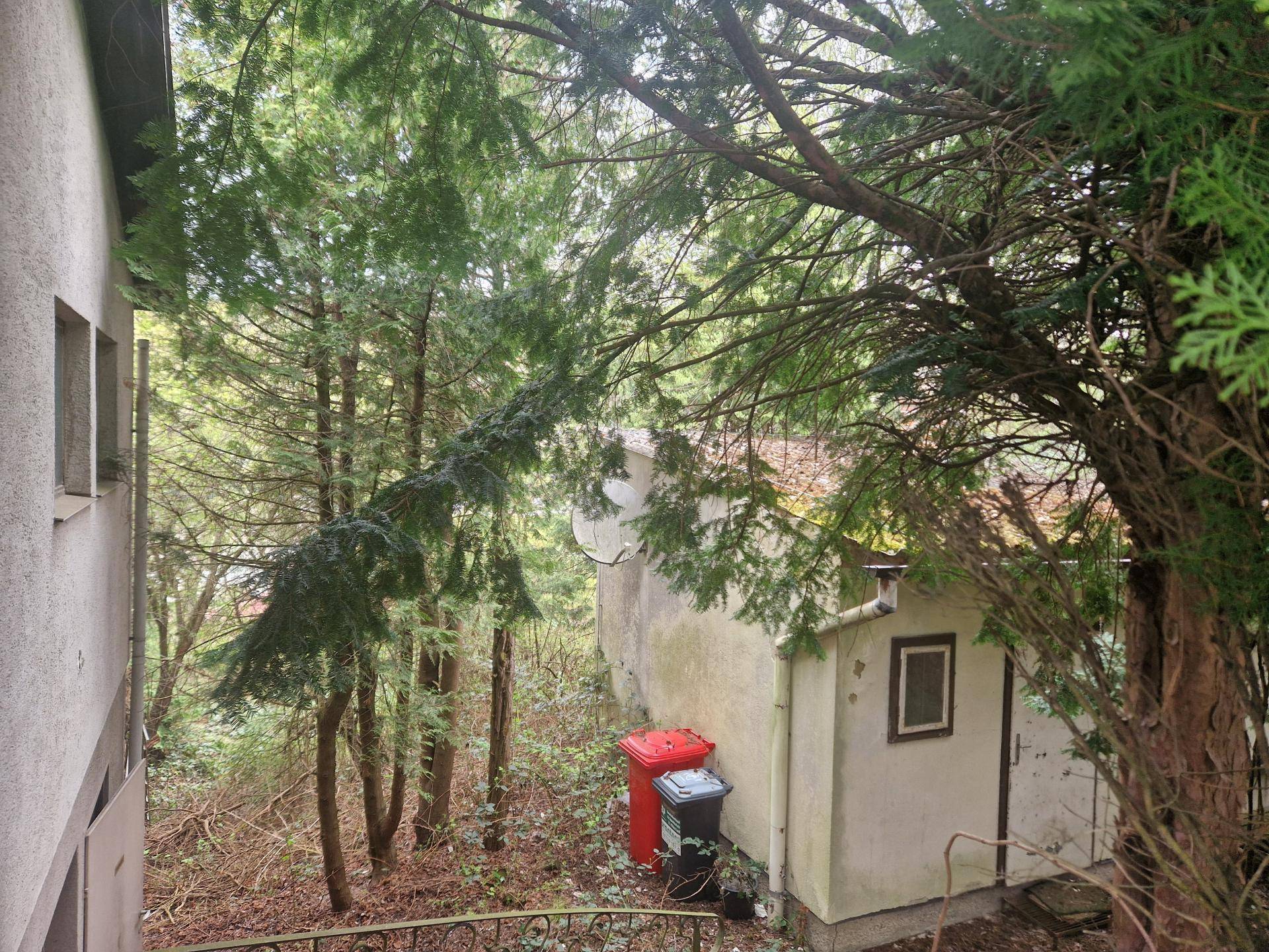 TOLLE WOHNLAGE MIT HOHER LEBENSQUALITÄT IN EICHGRABEN OHNE BAUZWANG - LEISTBARES BAUGRUNDSTÜCK MIT ALTBESTAND IN HERVORRAGENDER, RUHIGER HANGLAGE - Ansicht 2