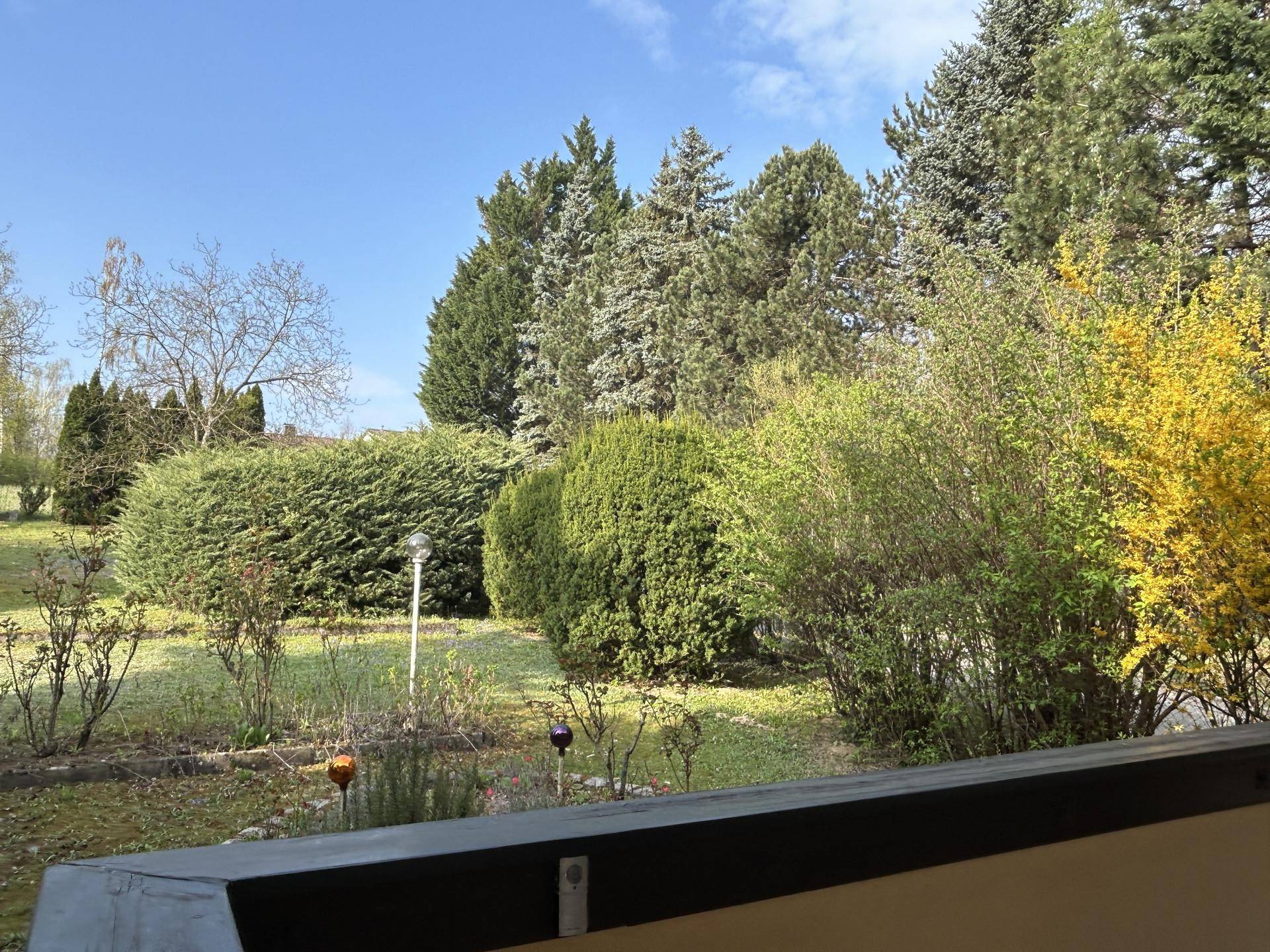 Großer Garten mit Rasenflächen, Büschen und hohen Nadelbäumen unter blauem Himmel.