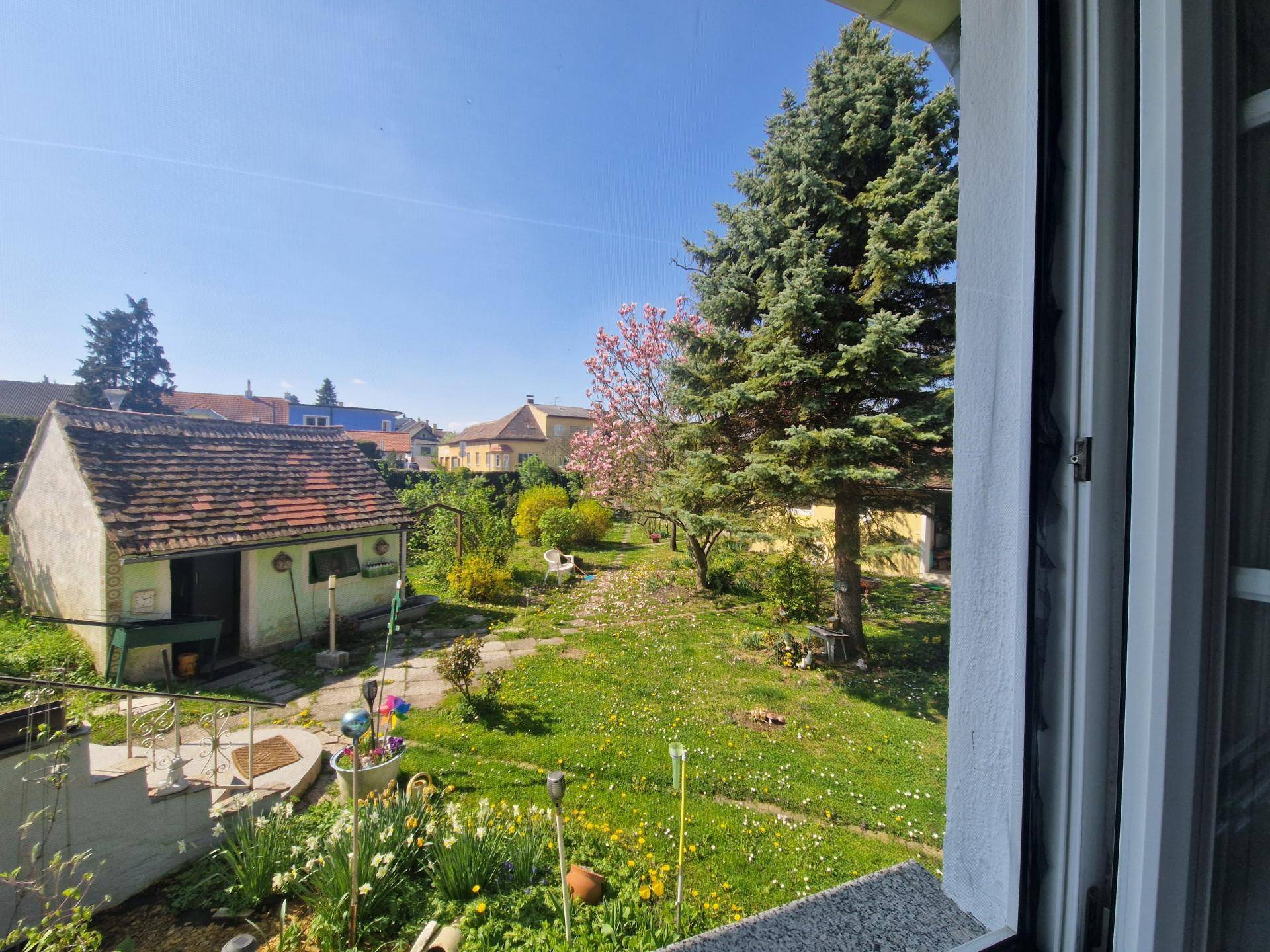 Blick aus dem Fenster auf den grünen Garten mit Bäumen und Nebengebäuden an einem sonnigen Tag.