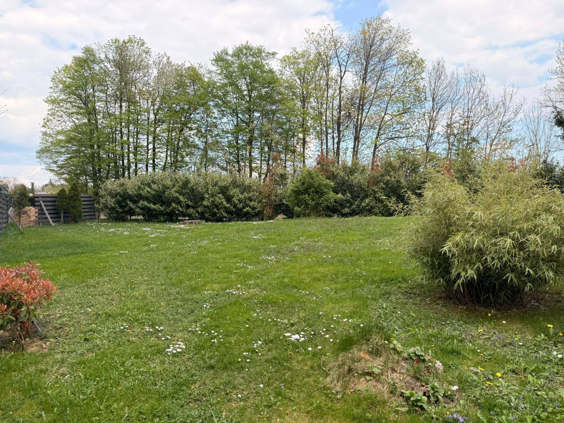 Großer, gepflegter Garten mit Rasenfläche, Hecken und hohen Bäumen im Hintergrund.
