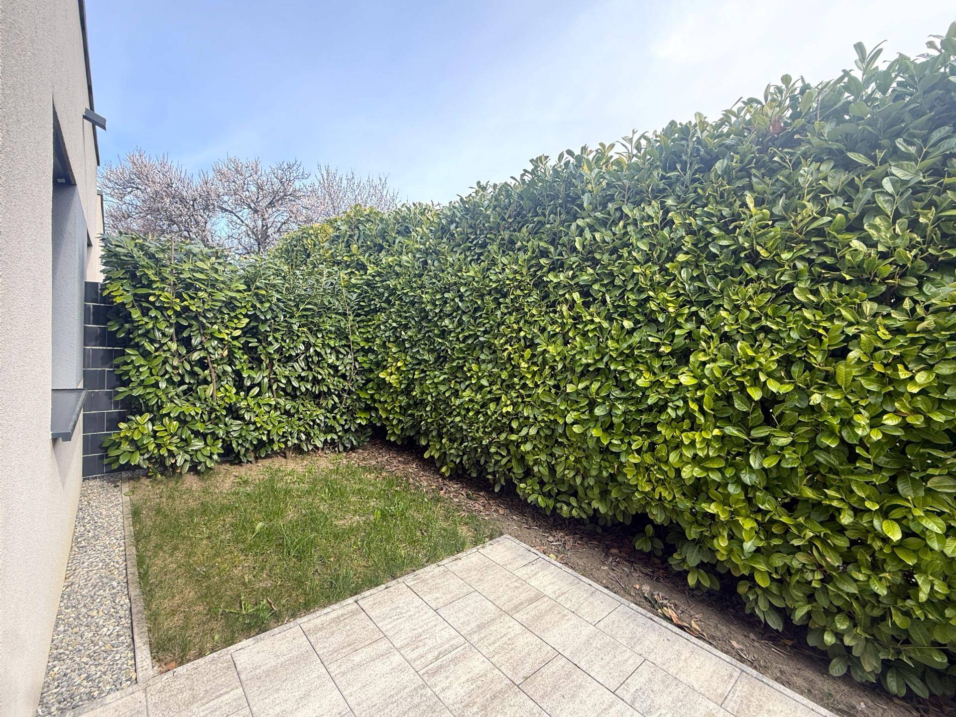 Kleiner gepflasterter Gartenbereich mit hoher, dichter Hecke, die Privatsphäre bietet.