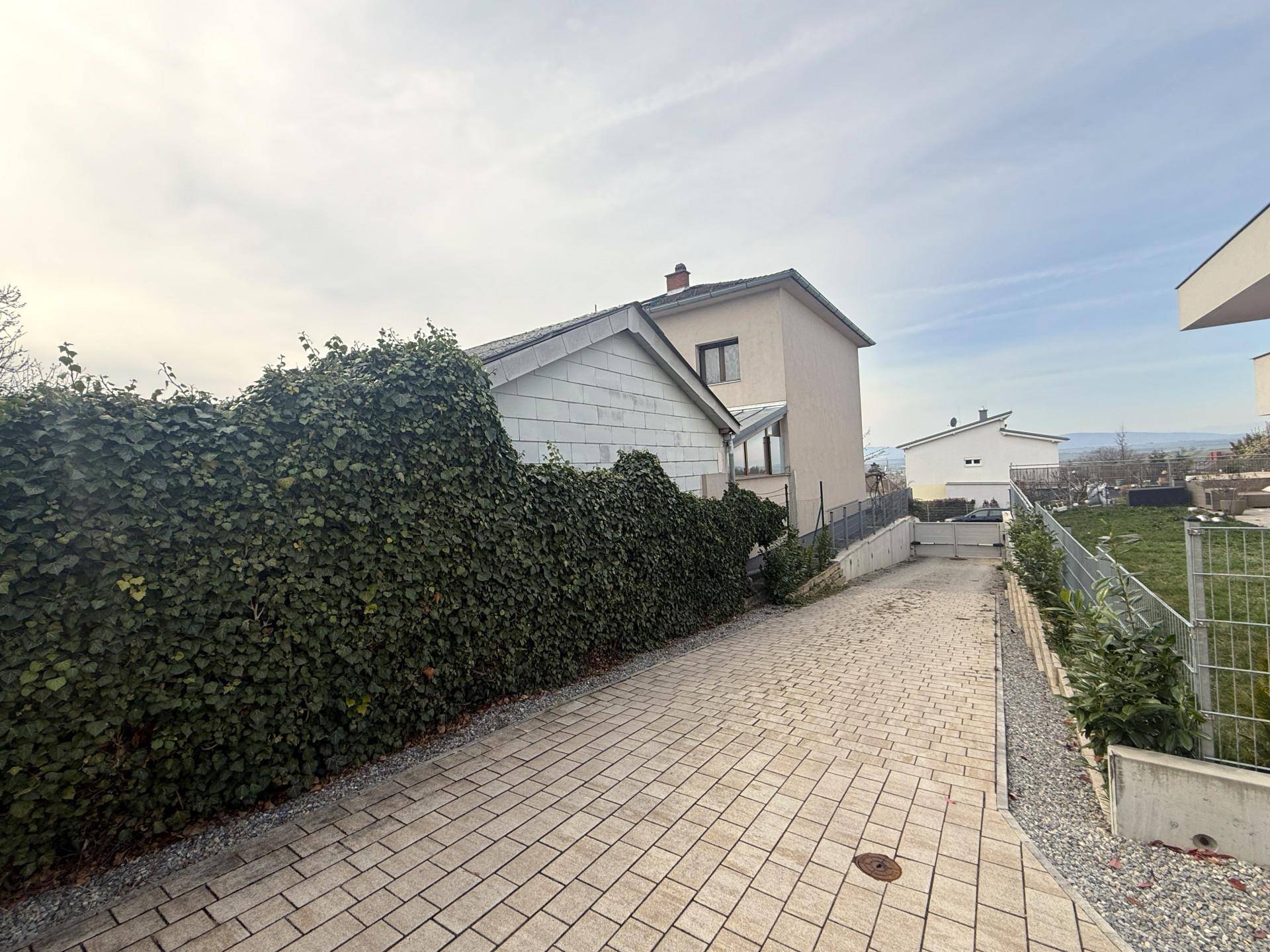 Gepflasterte Auffahrt zu einem Haus, gesäumt von einer üppigen Efeu-Hecke.