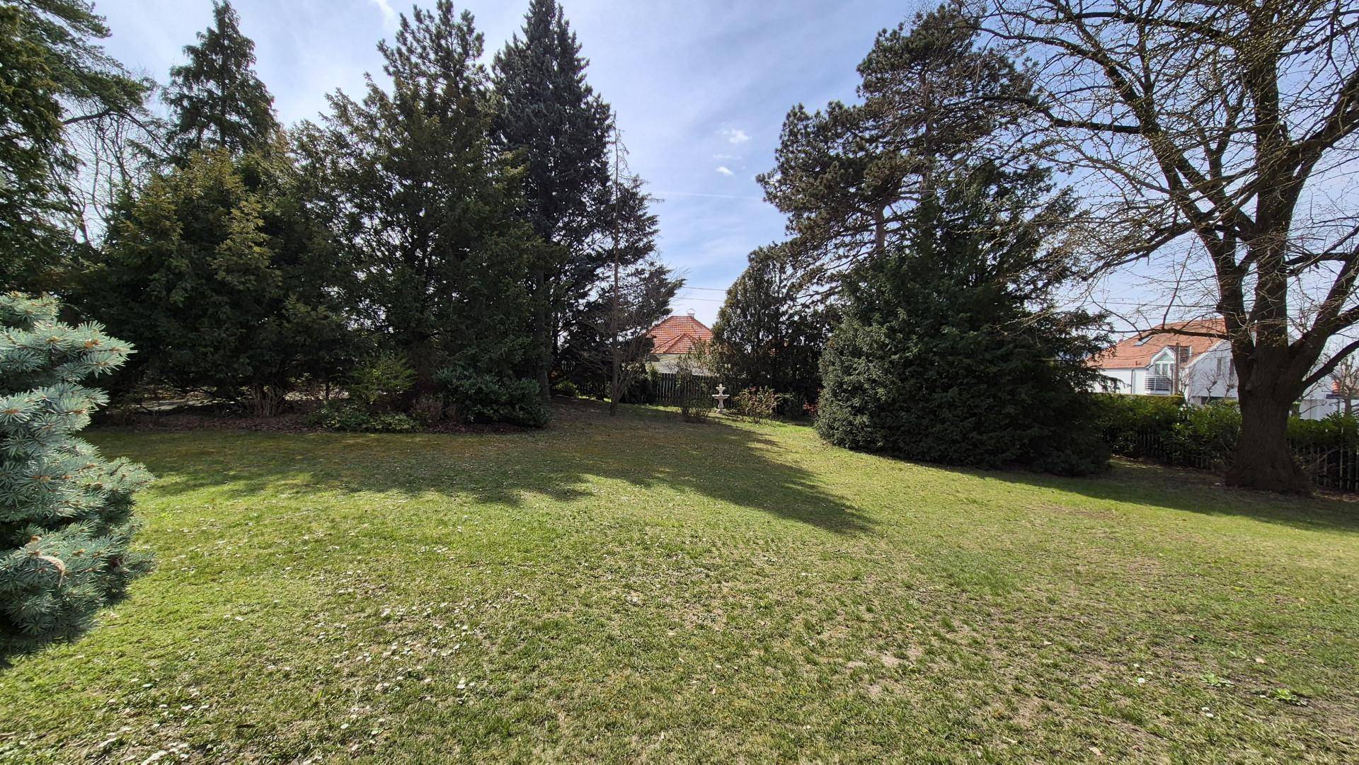 Weitläufiger Garten mit altem Baumbestand und gepflegter Rasenfläche.