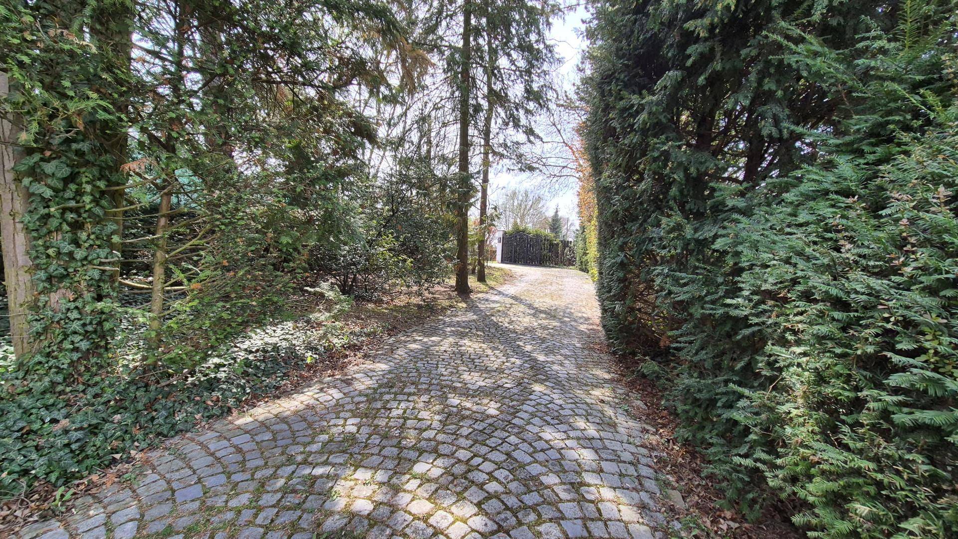 Gepflasterte Zufahrt zum Grundstück, umgeben von hohen Hecken und Bäumen.