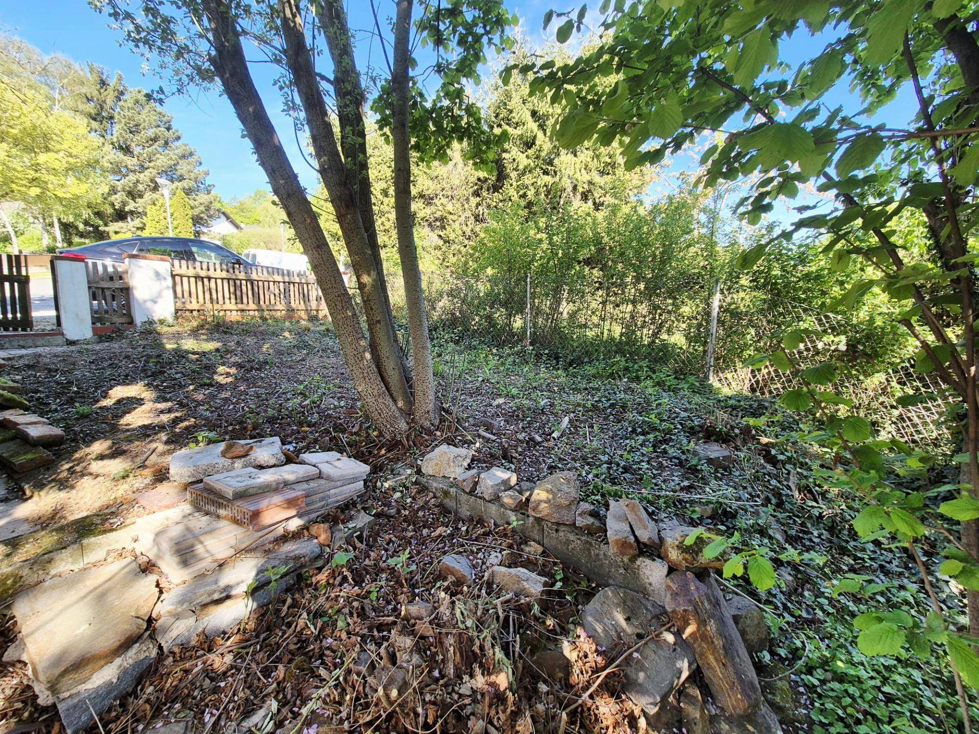 Naturbelassener Gartenbereich mit Bäumen, Sträuchern und einigen Baumaterialien im Vordergrund.