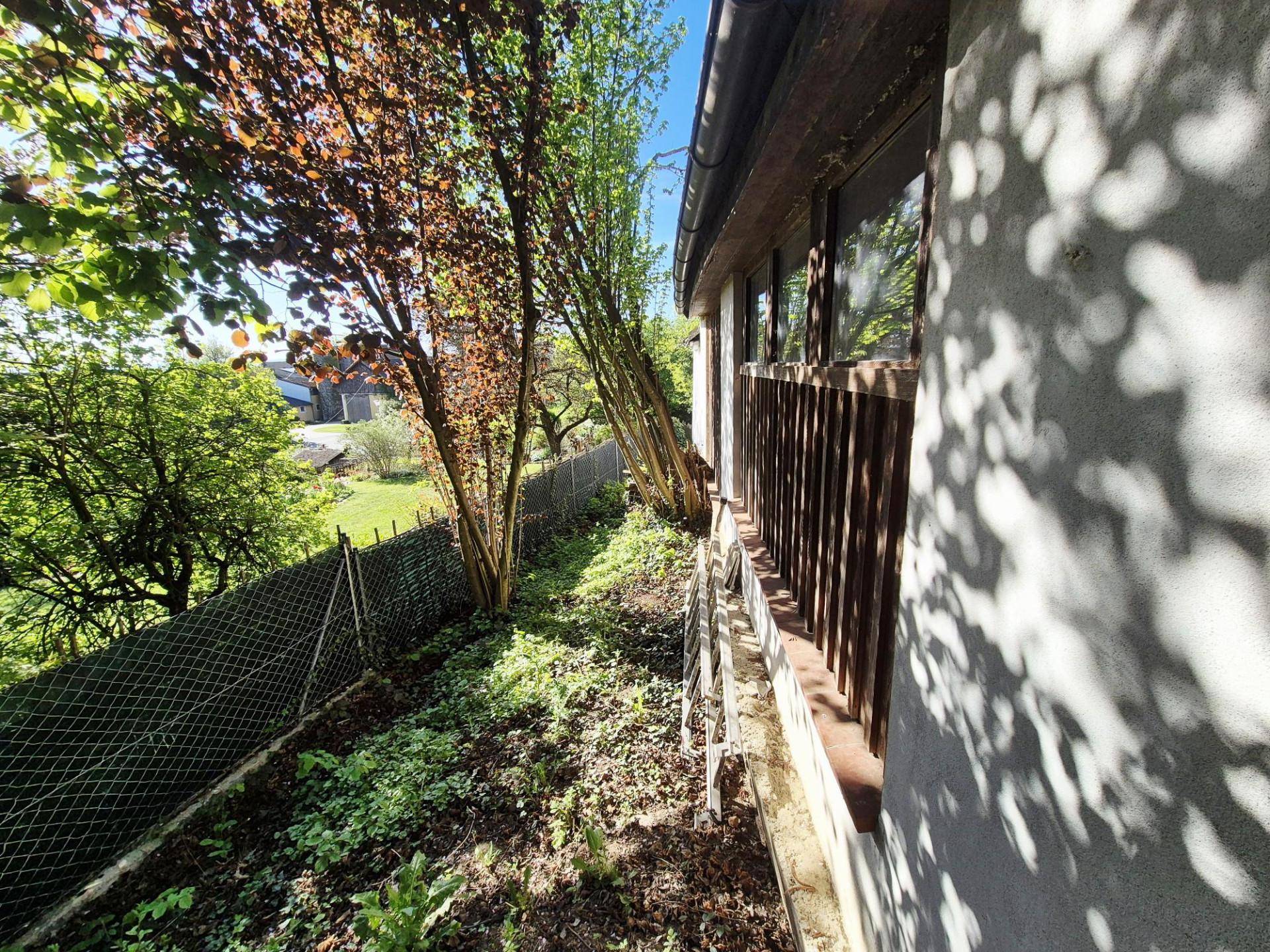Seitenansicht eines Gebäudes mit Fenstern und einem naturbelassenen Gartenbereich mit Bäumen.