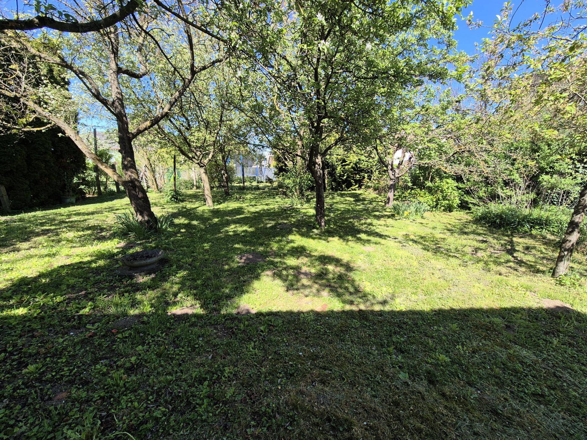 Weitläufiger Garten mit grüner Rasenfläche und altem Baumbestand an einem sonnigen Tag.