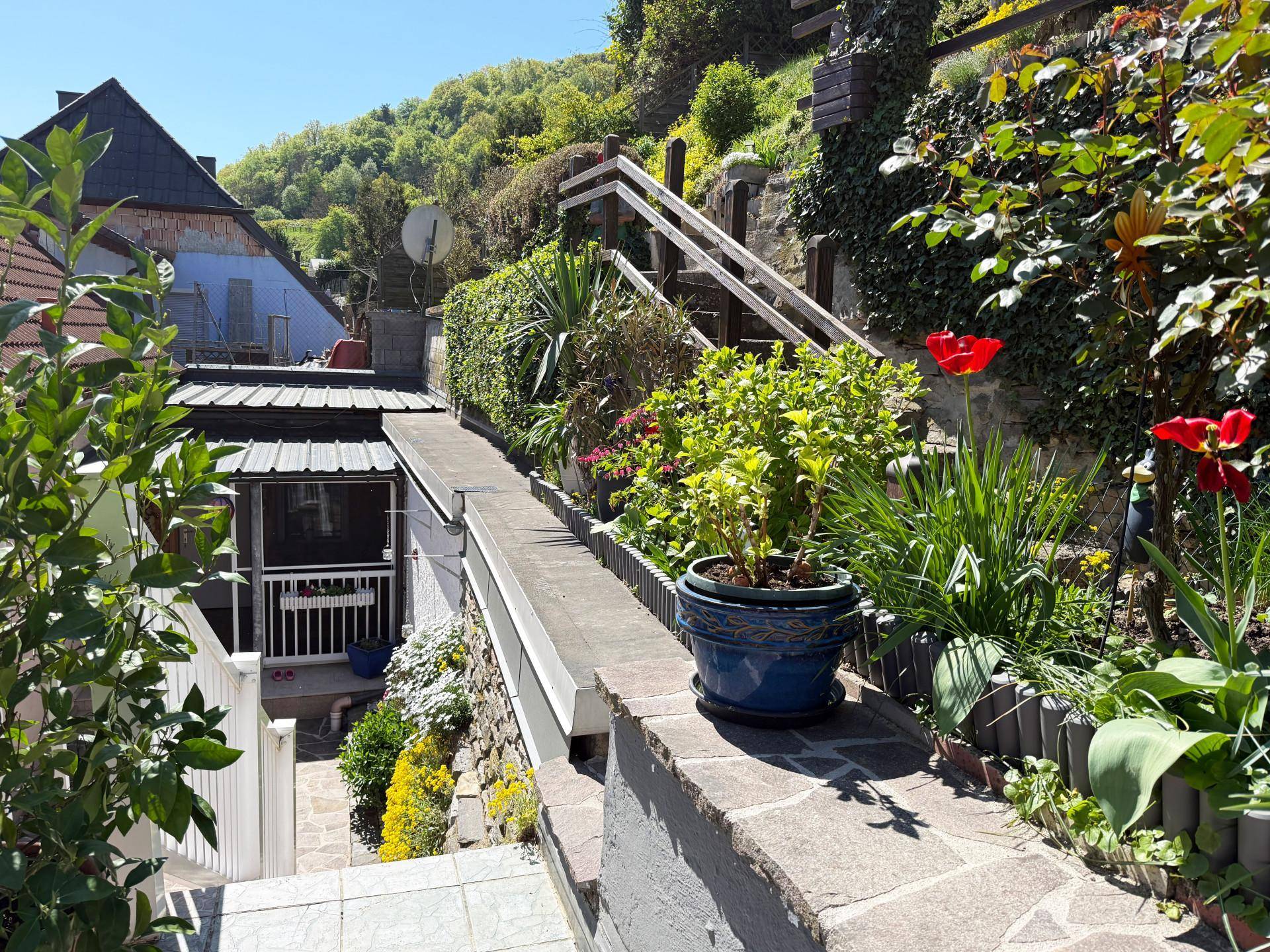 Steiler Gartenweg mit Treppen, umgeben von üppigem Grün und blühenden Pflanzen.