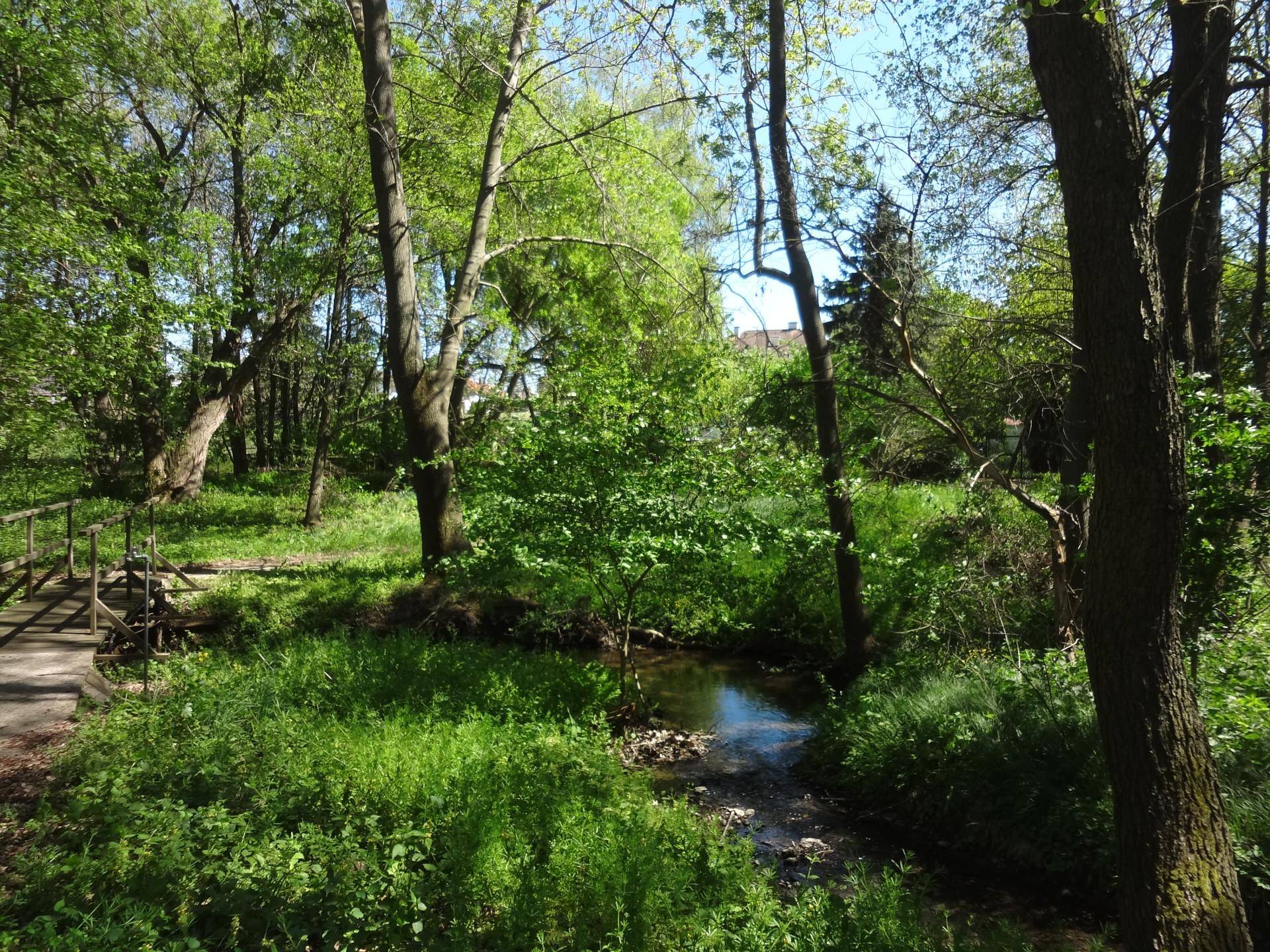 Idyllischer Bachlauf mit kleiner Holzbrücke, umgeben von dichtem Grün und Bäumen.