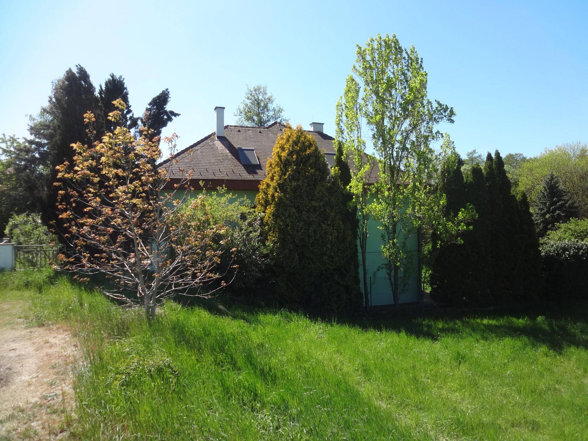 Seitenansicht des Hauses, umgeben von hohen Bäumen und üppigem Grün unter blauem Himmel.