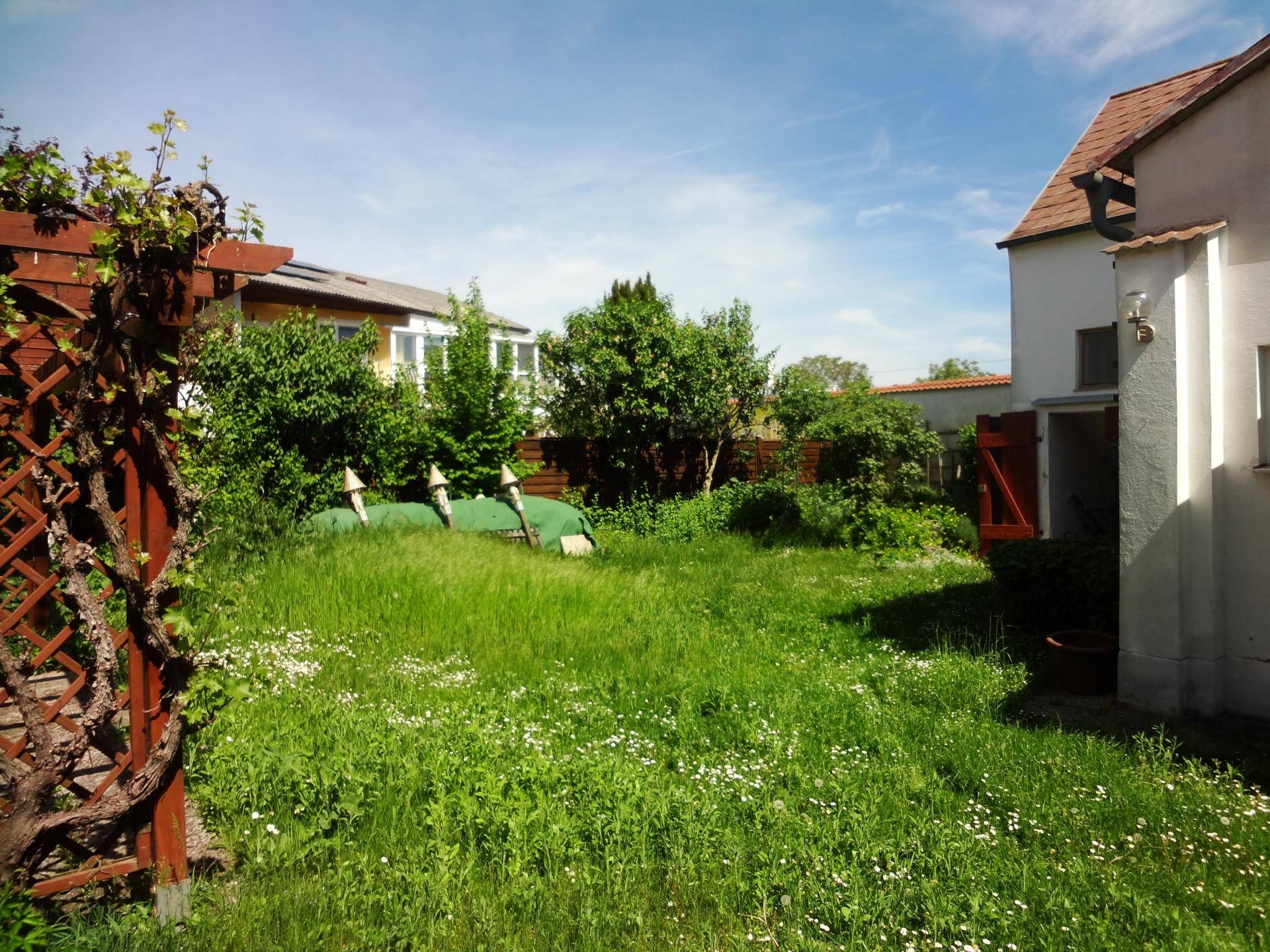 Großer, sonniger Garten mit Rasenfläche, Bäumen und einem Holzspalier.