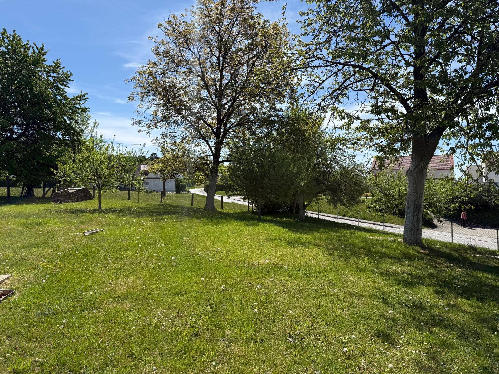 Weitläufiger grüner Garten mit hohen Bäumen und Blick auf die ländliche Umgebung.