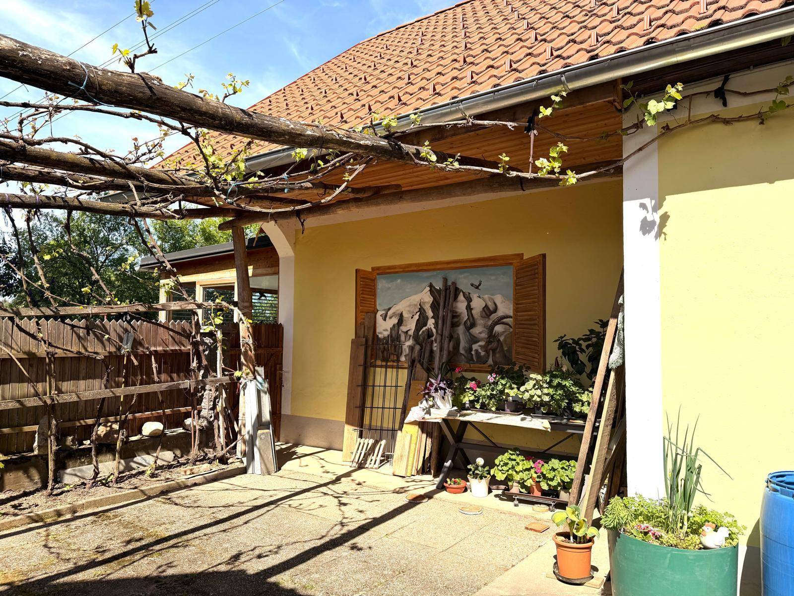 Überdachter Außenbereich mit Rankpflanzen, Blumen und einer Wandmalerei, ideal für Entspannung.