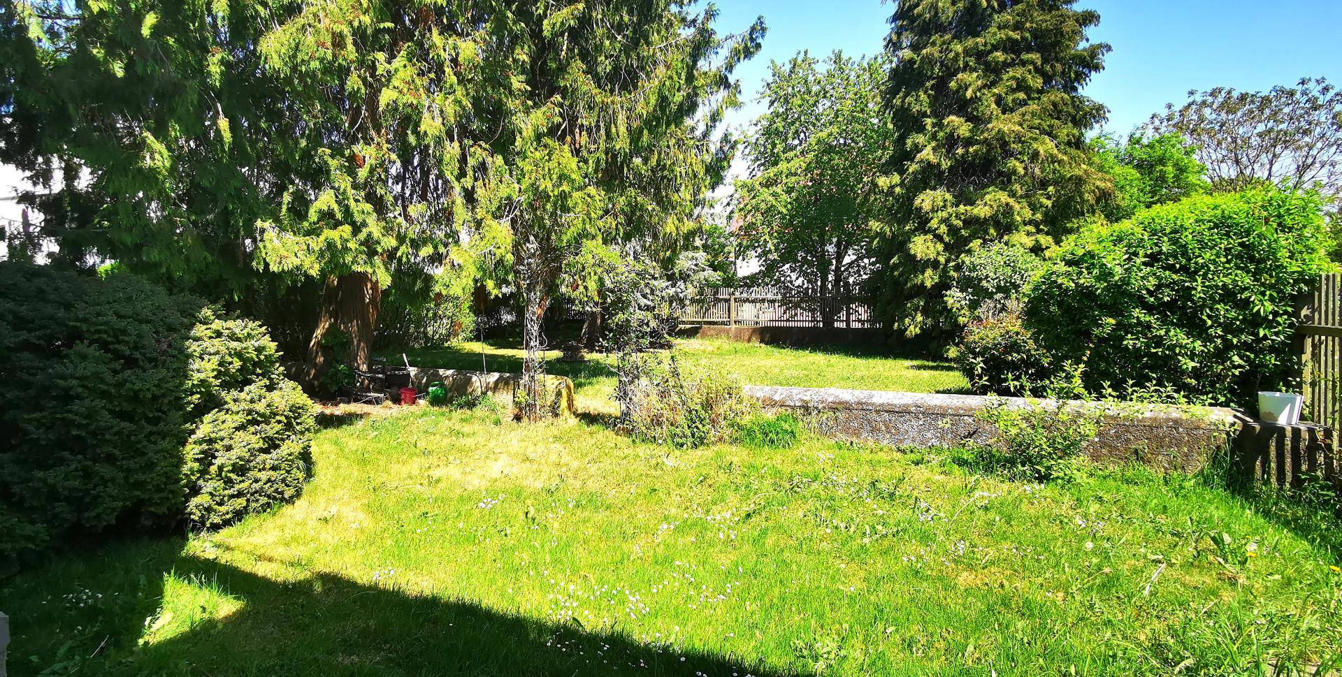 Weitläufiger Gartenbereich mit gepflegtem Rasen und hohen Bäumen, bietet viel Platz im Freien.