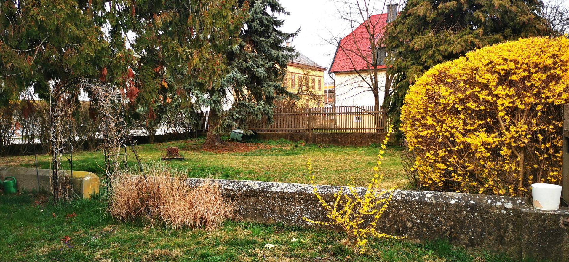 Grüner Garten mit verschiedenen Pflanzen, Bäumen und einer niedrigen Steinmauer, naturbelassen.