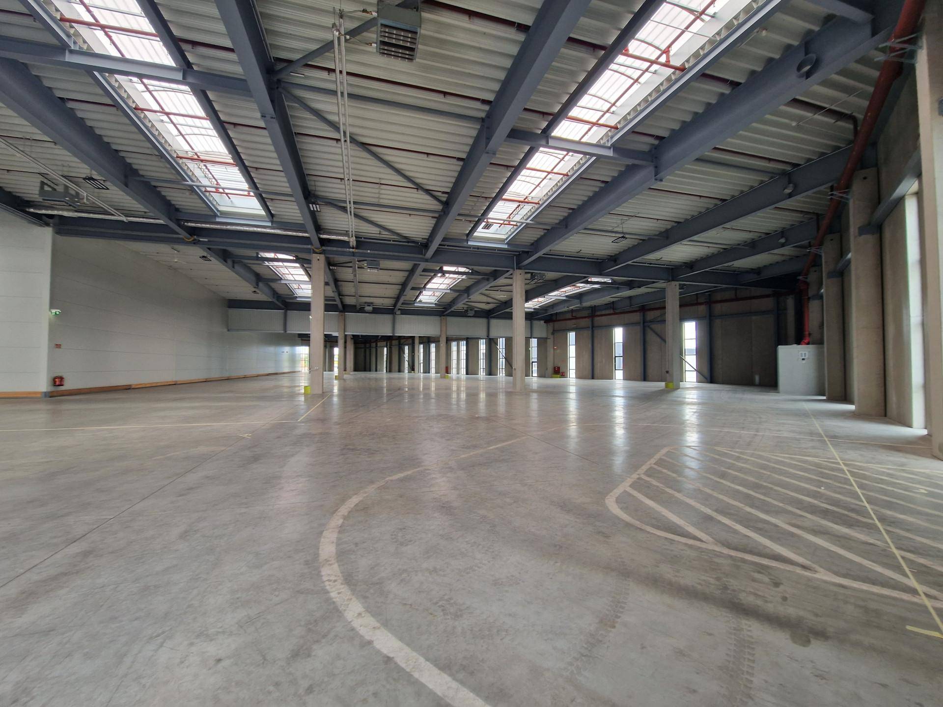 Weitläufige Lagerhalle mit Betonboden, hohen Decken und vielen Oberlichtern.