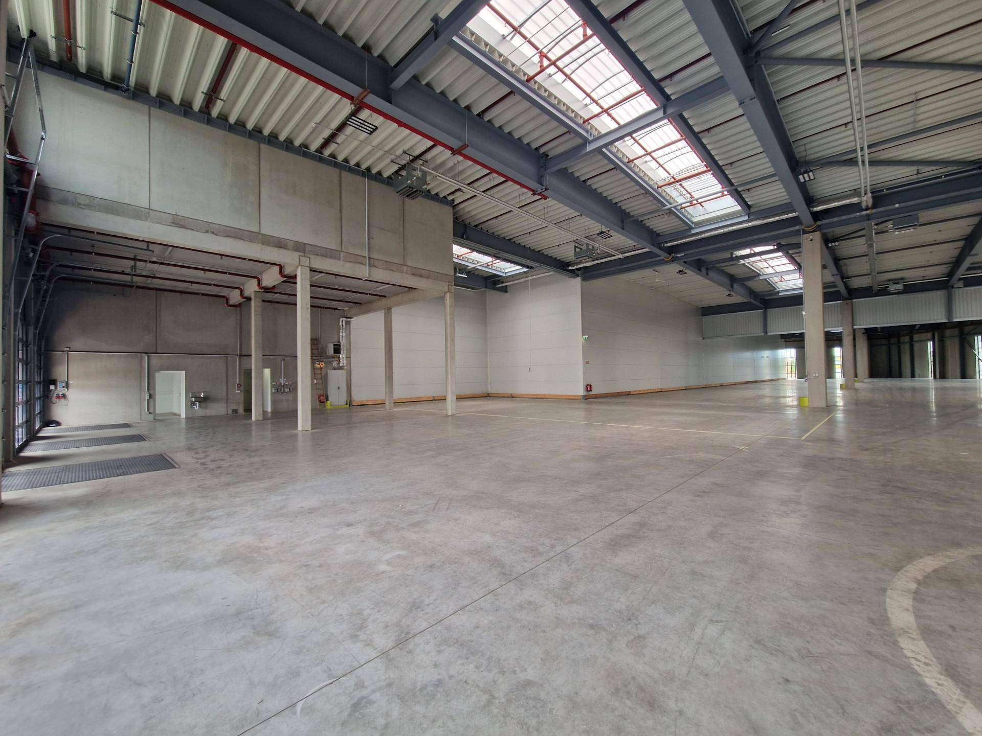 Große, leere Lagerhalle mit Betonboden, Stützen und Oberlichtern für Helligkeit.