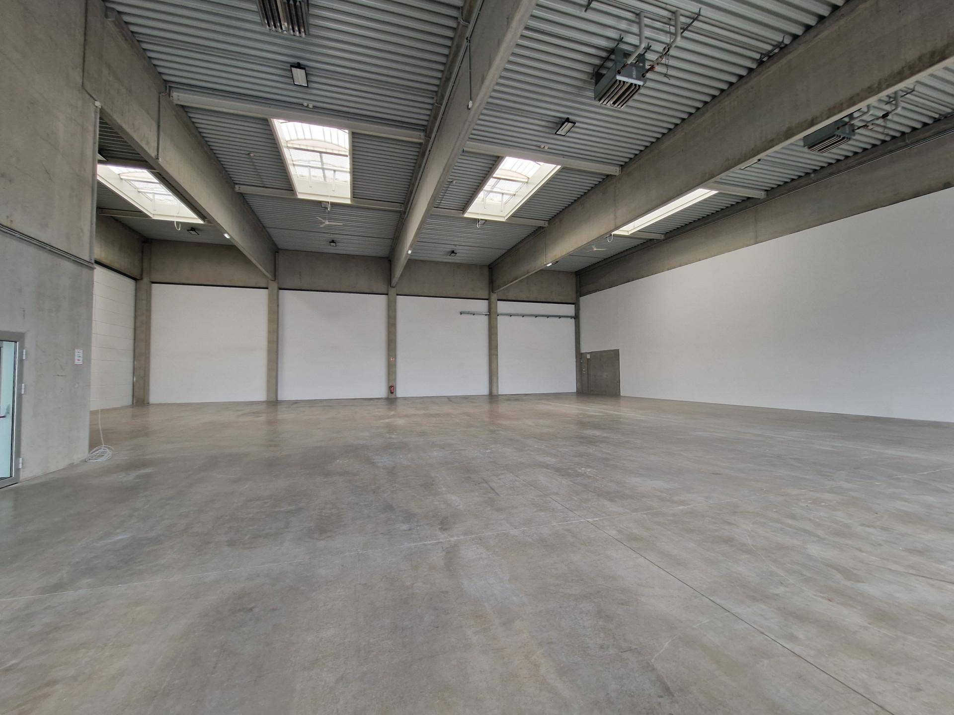 Leere Lagerhalle mit Betonboden, weißen Wänden und Oberlichtern für Tageslicht.