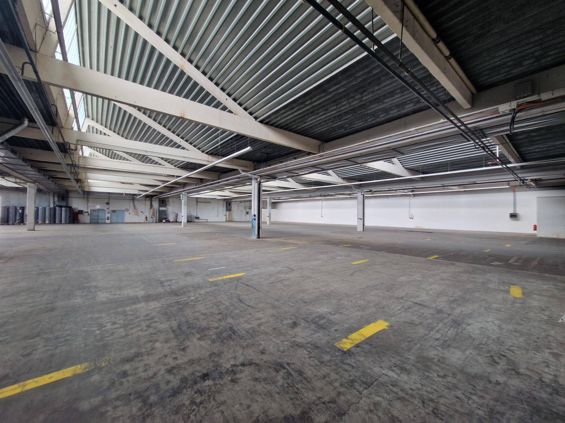 Große, leere Lagerhalle mit Betonboden, Stützen und Oberlichtern.
