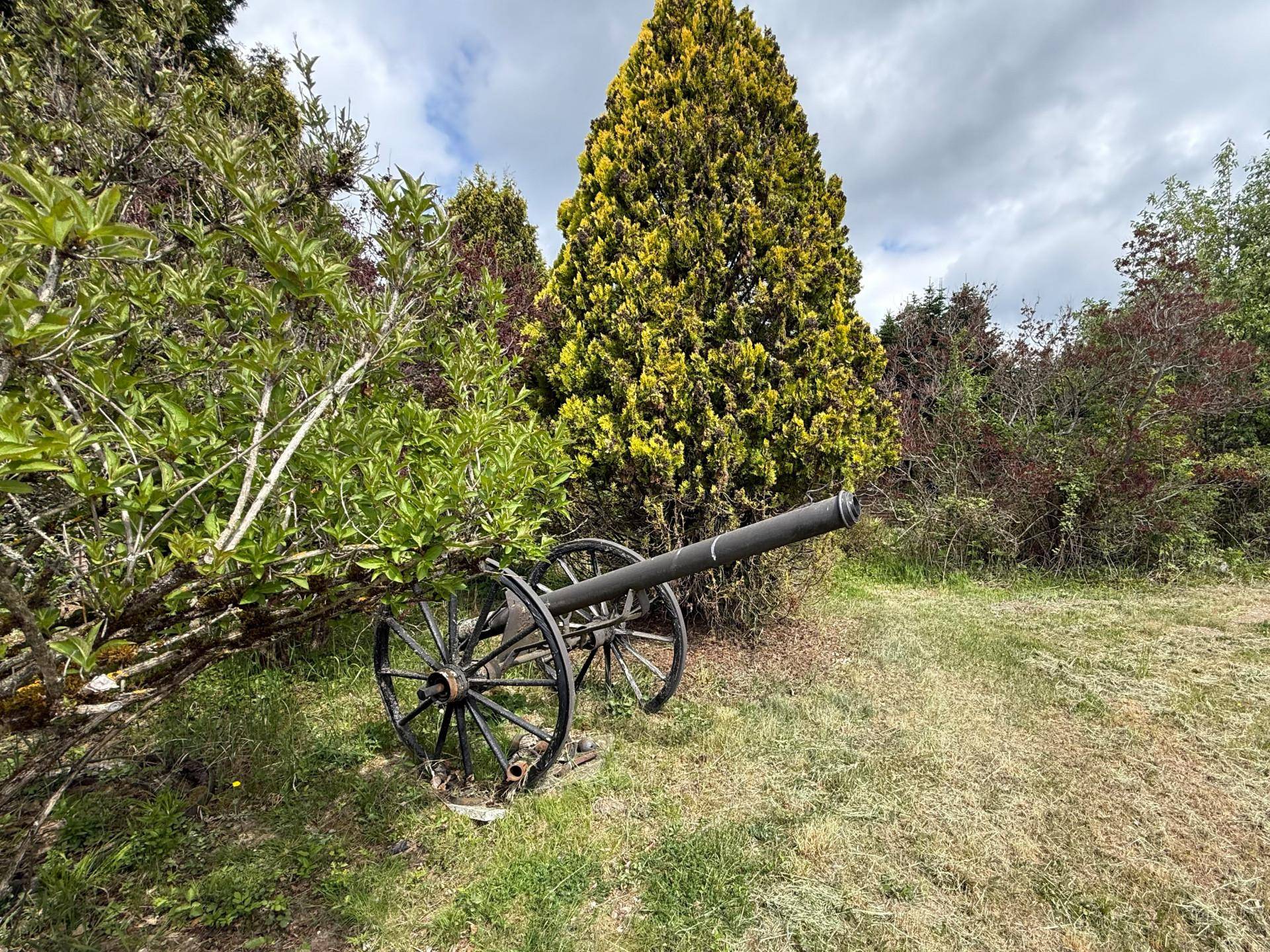 Historische Kanone als Gartendekoration, platziert auf einer Rasenfläche zwischen Bäumen.