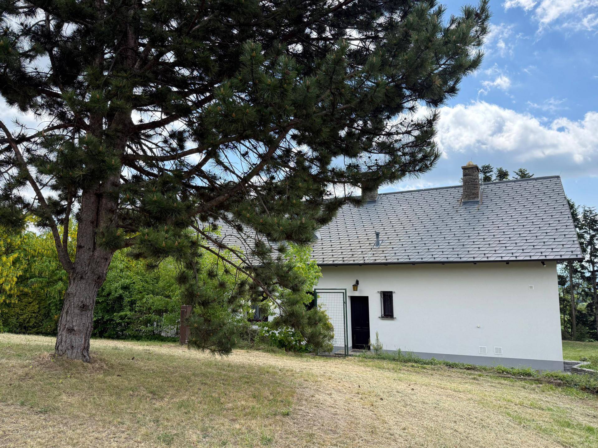 Seitenansicht eines weißen Hauses mit dunklem Dach und einem großen Nadelbaum im Vordergrund.