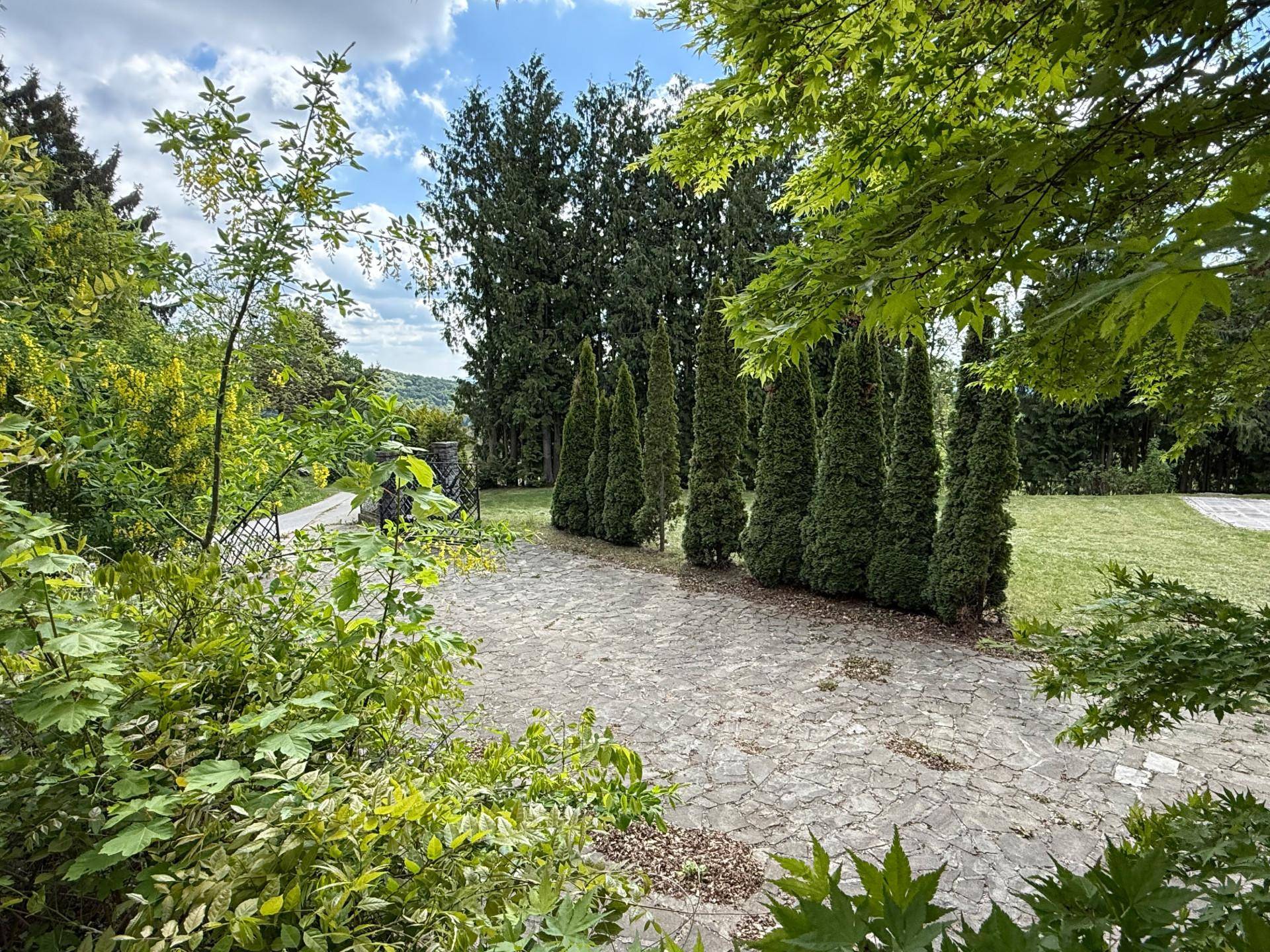 Große gepflasterte Fläche im Garten, umgeben von hohen Zypressen und anderen Bäumen unter blauem Himmel.
