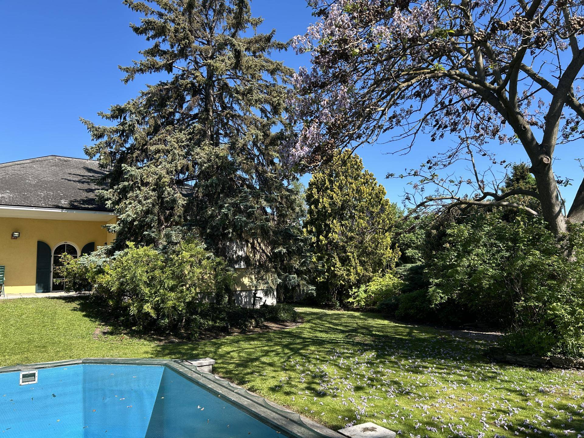 Weitläufiger Garten mit Rasenfläche, großen Bäumen und einem Swimmingpool.