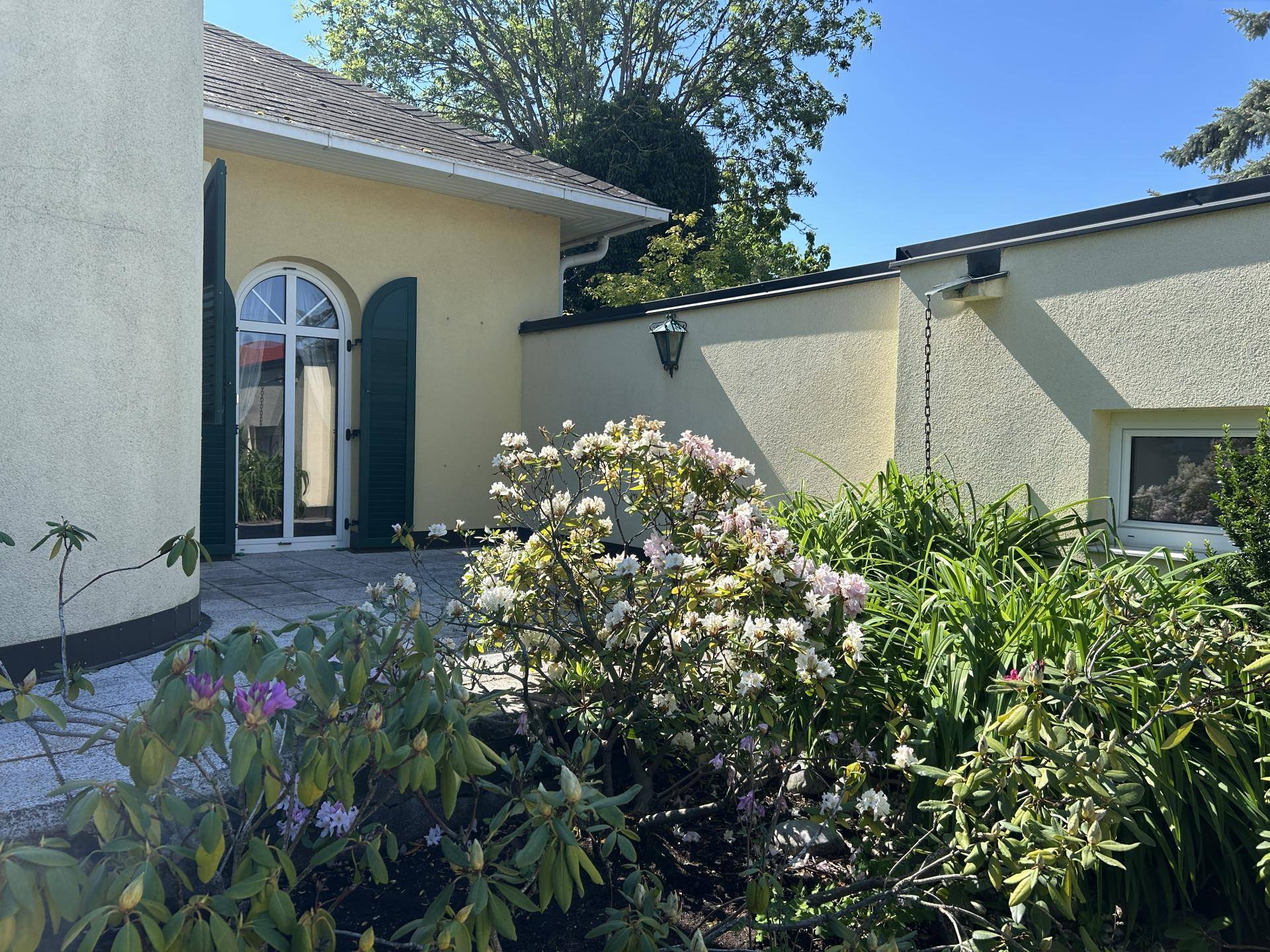 Gepflegter Gartenbereich mit blühenden Rhododendren und Zugang zur Terrasse.