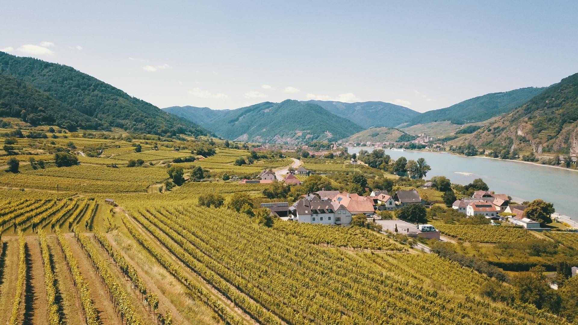 Panoramablick auf Weinberge, ein malerisches Dorf, einen Fluss und bewaldete Berge.