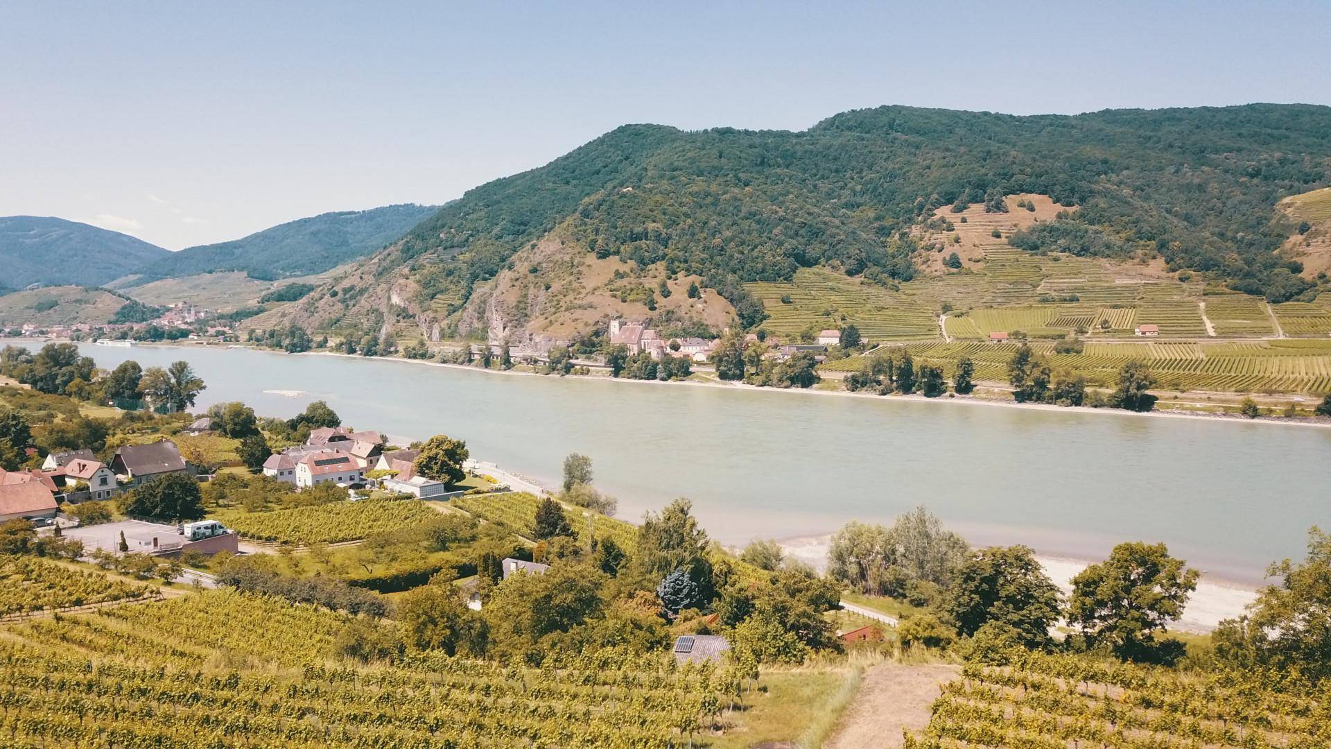 Weitläufige Weinberge erstrecken sich entlang eines Flusses mit bewaldeten Bergen im Hintergrund.