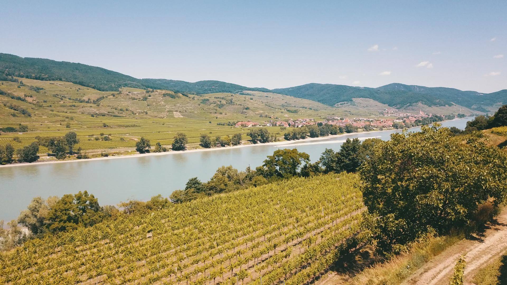 Malerische Landschaft mit Weinbergen, einem breiten Fluss und sanften Hügeln unter blauem Himmel.