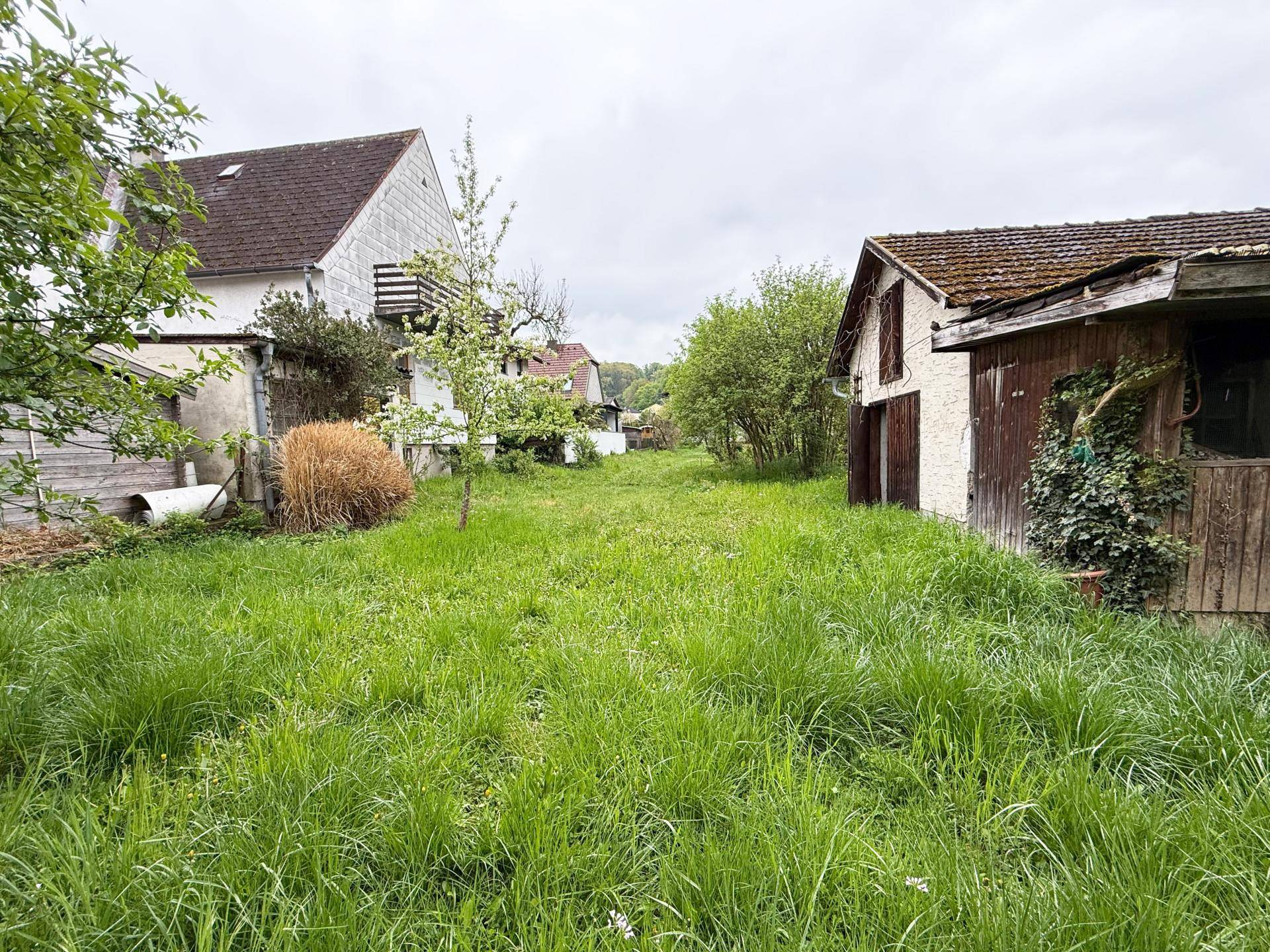 Weitläufiger Gartenbereich mit hohem Gras und Blick auf weitere Gebäude in der Umgebung.