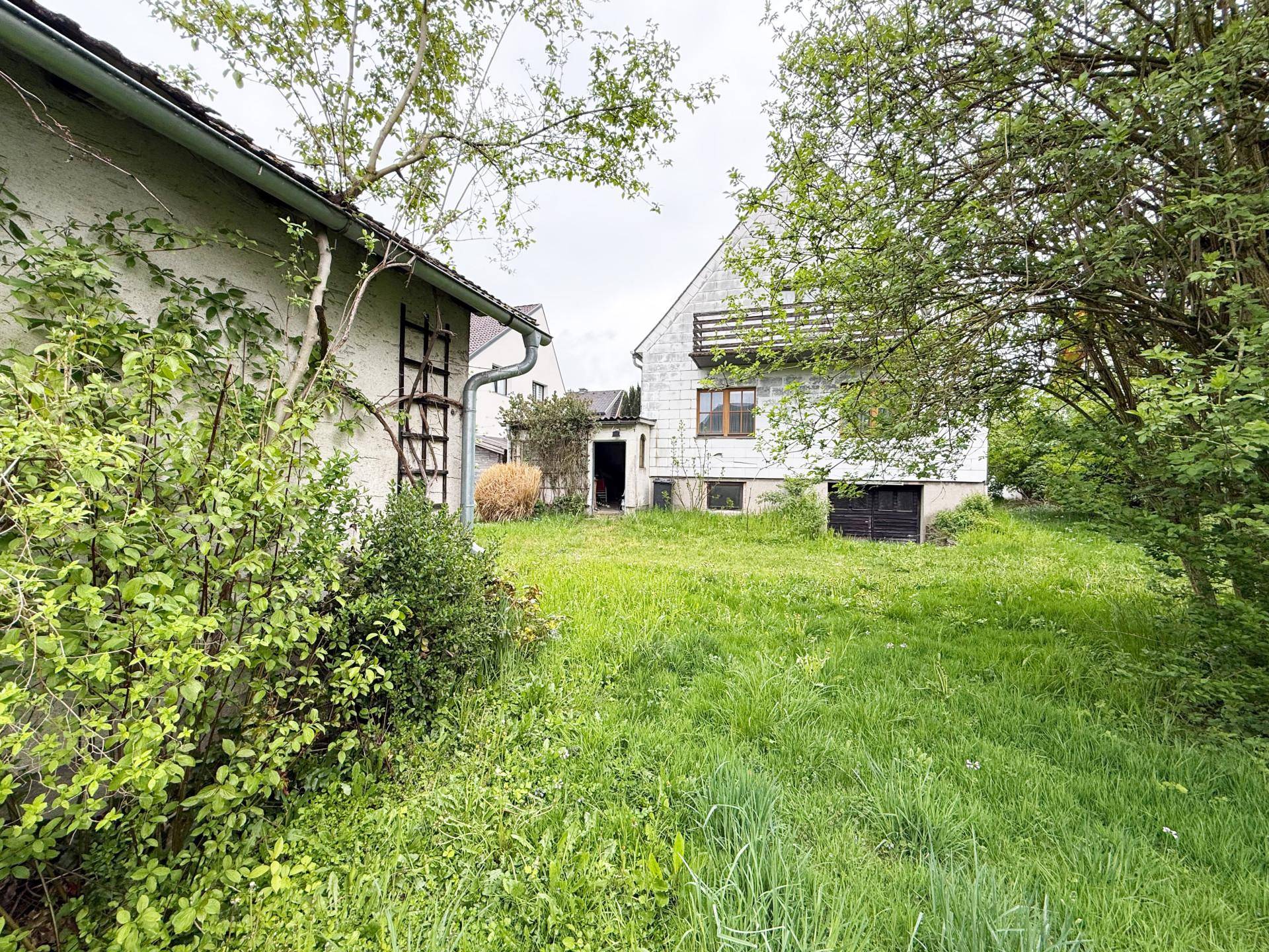 Gartenbereich mit hohem Gras und Blick auf das Haupthaus und ein weiteres Gebäude.