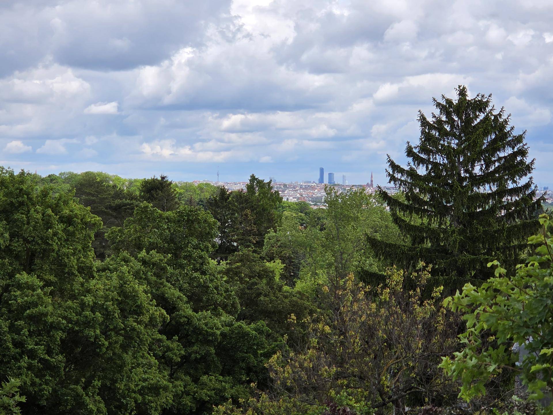 Malerischer Ausblick auf die Stadtkulisse in der Ferne, umrahmt von üppigem Grün.