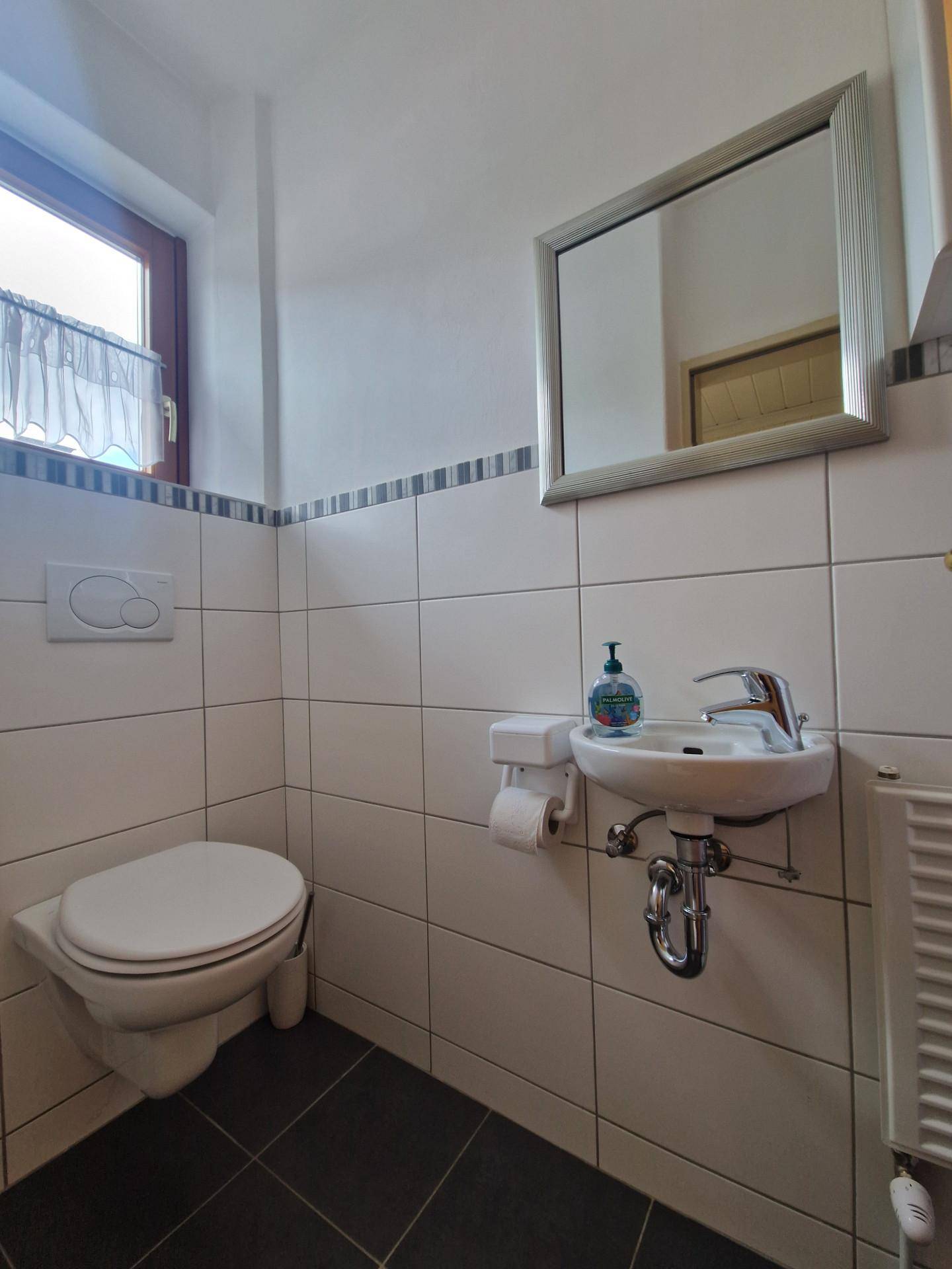 Separates Gäste-WC mit wandhängender Toilette, kleinem Waschbecken und Fenster.